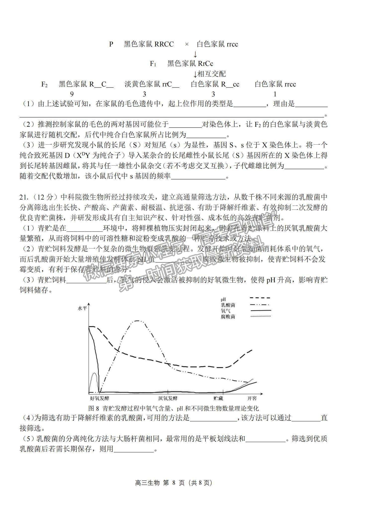 2023湛江高三上学期期末考（广东综合素养）生物试题及答案