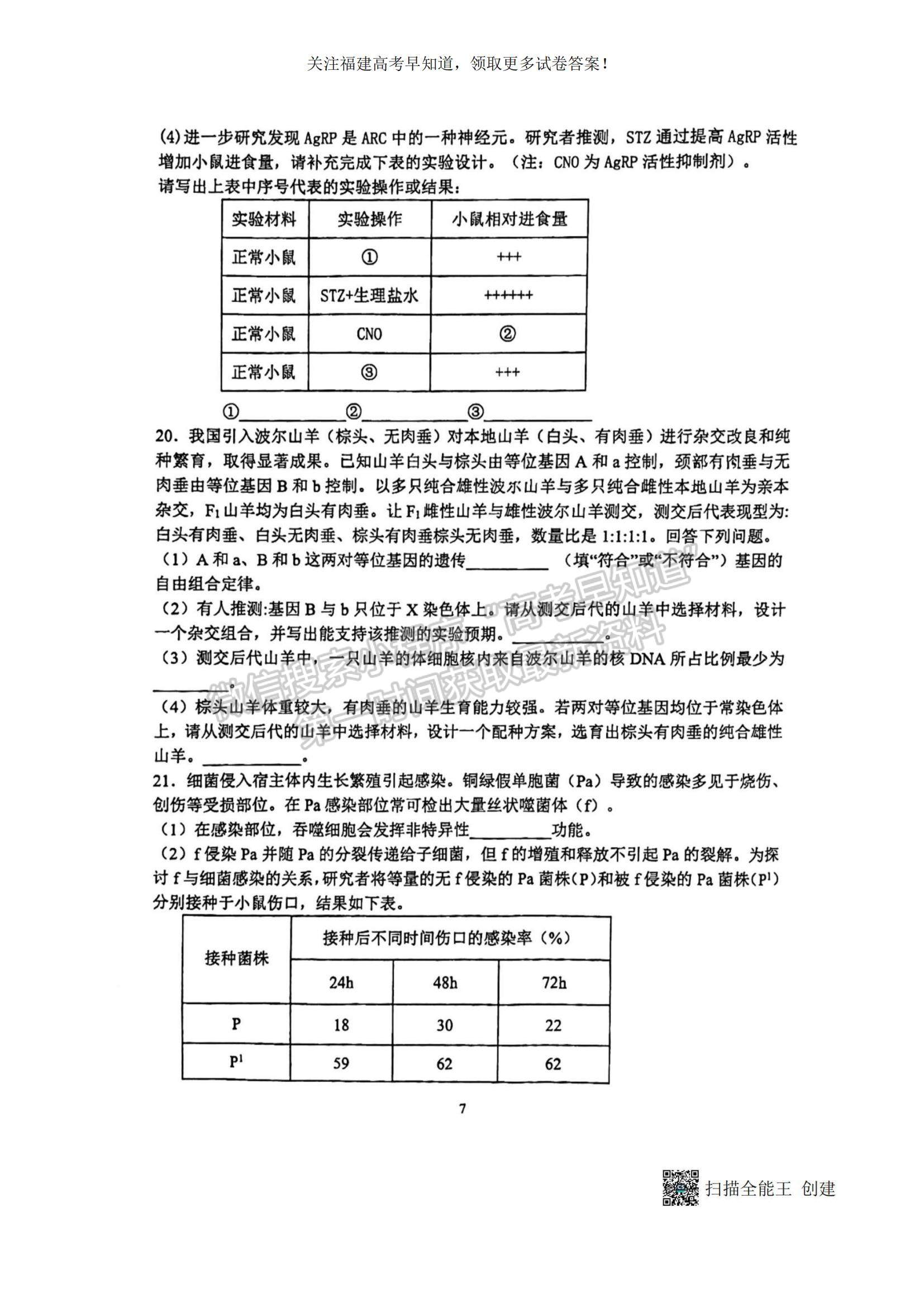 2023福建省廈門一中高三上學期11月期中考試生物試題及參考答案