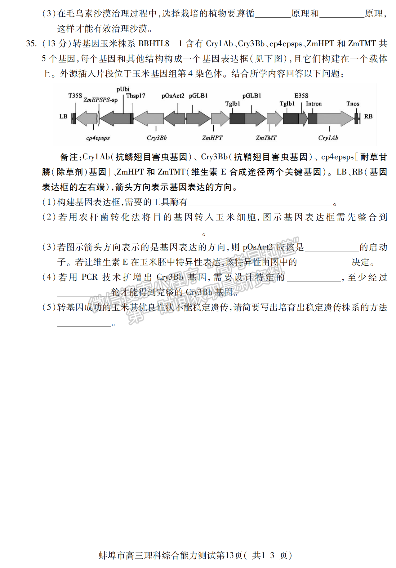 2023安徽蚌埠高三第二次教學(xué)質(zhì)量檢測(cè)理綜試卷及答案