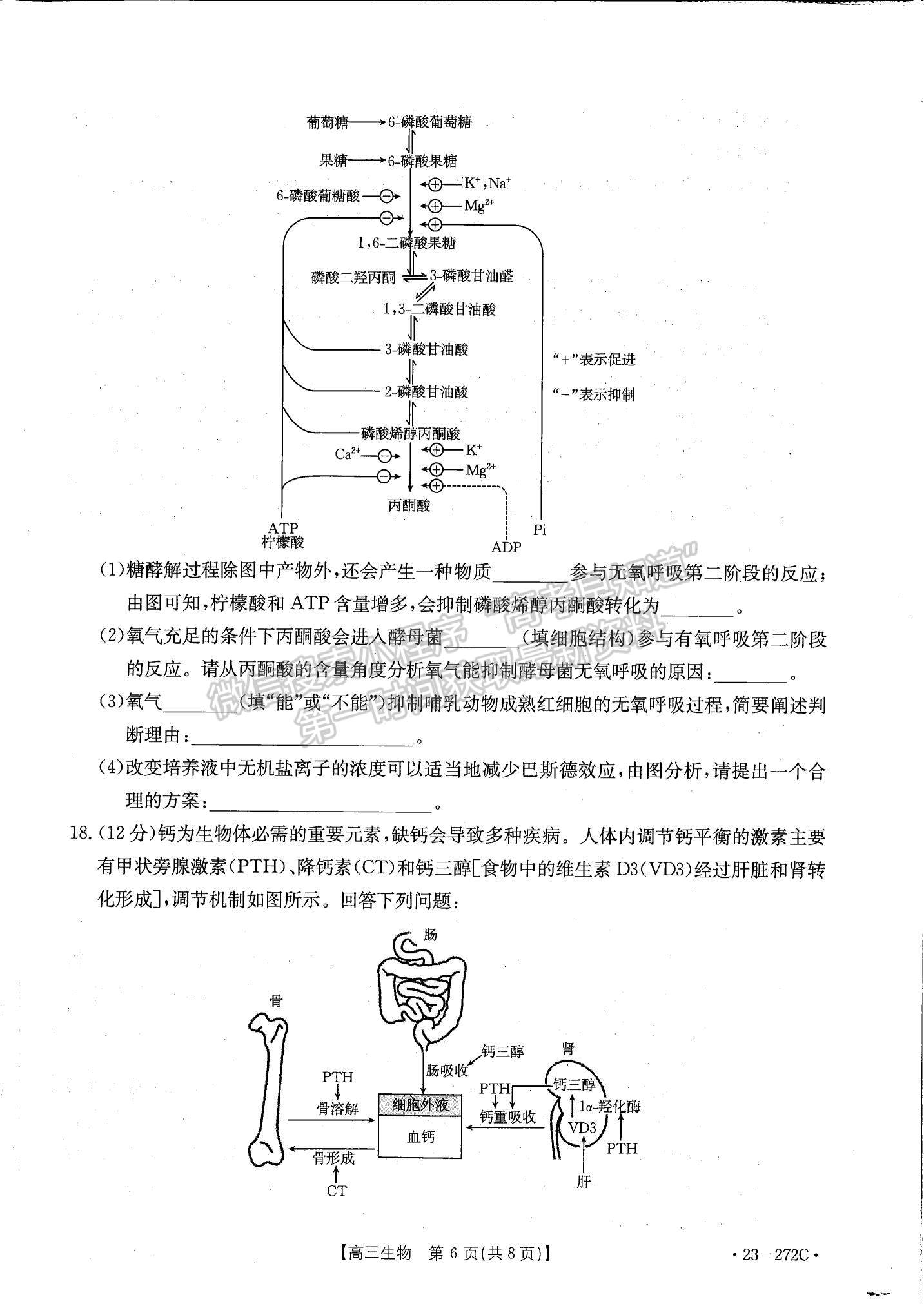 2023广东高三2月大联考（23-272C）生物试题及答案