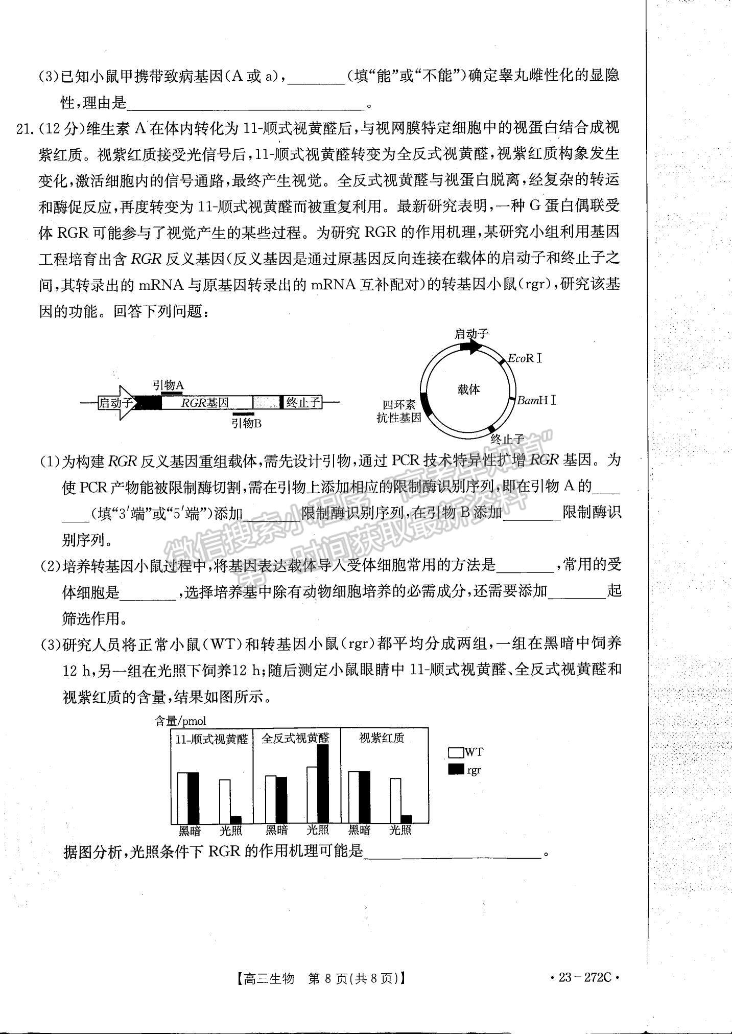 2023廣東高三2月大聯(lián)考（23-272C）生物試題及答案