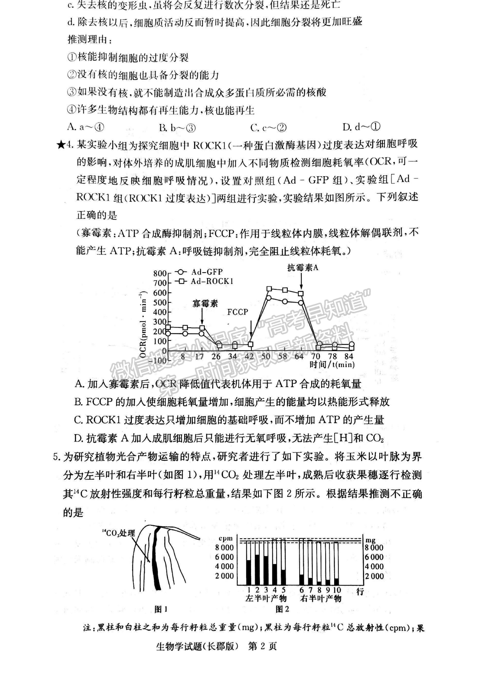 2023湖南炎德英才長郡中學(xué)高三月考（六）生物試卷及答案