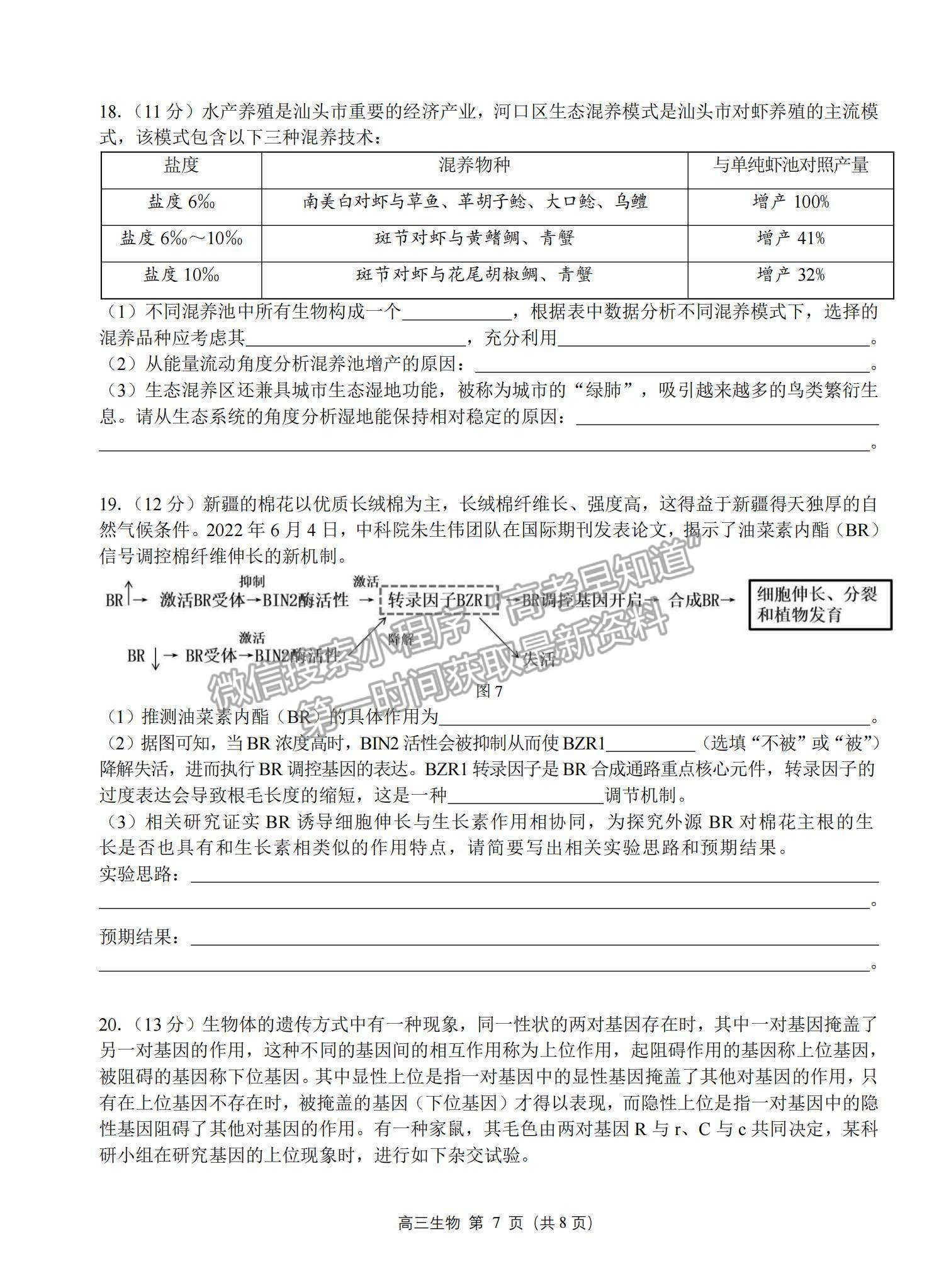 2023湛江高三上学期期末考（广东综合素养）生物试题及答案