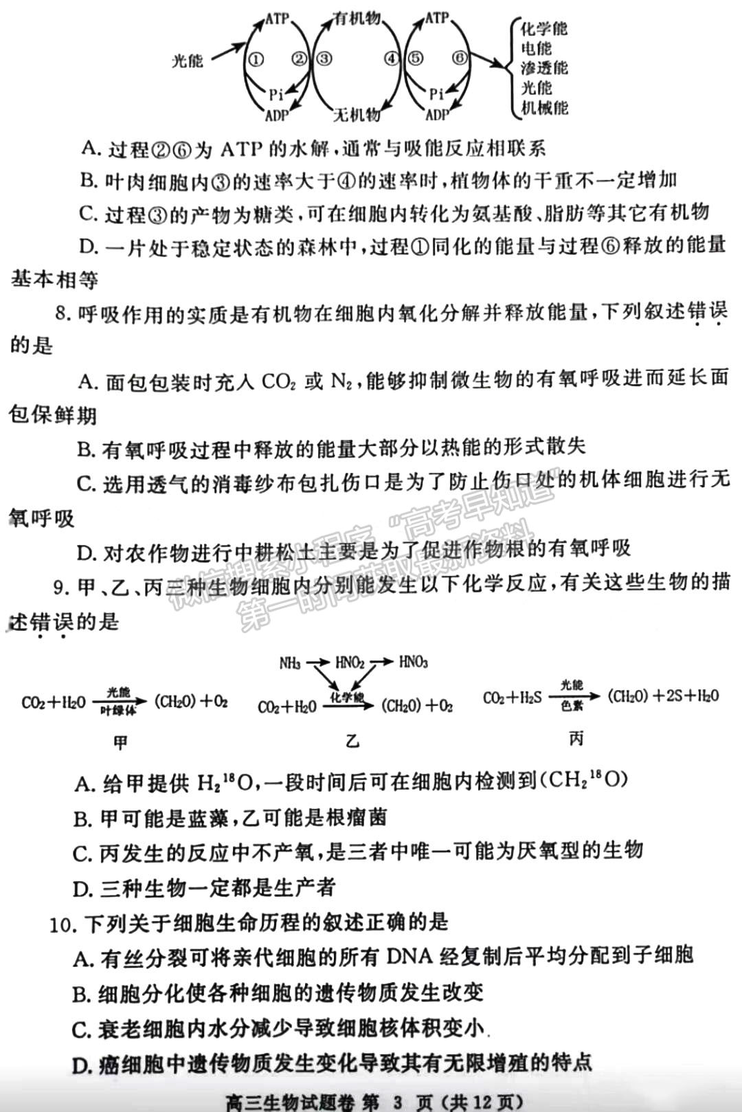 2023鄭州一模生物試題及參考答案