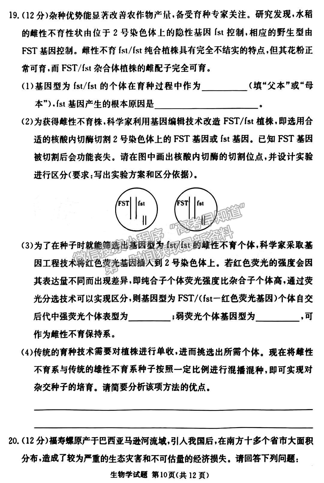 佩佩教育2023年湖南四大名校名師團(tuán)隊模擬沖刺卷生物試卷與參考答案