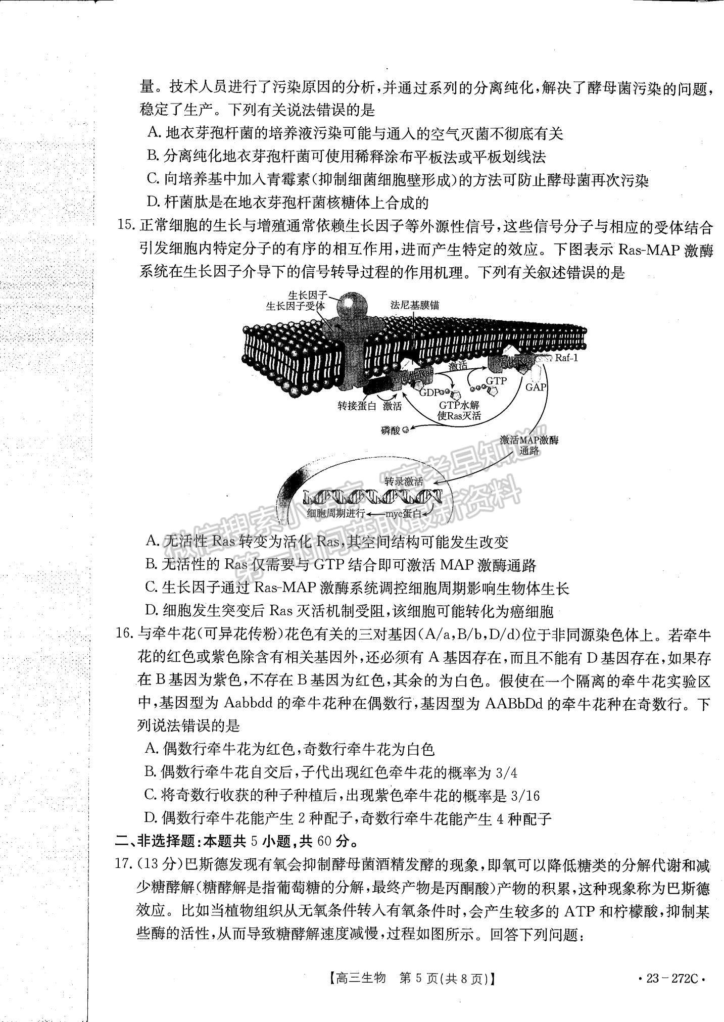 2023廣東高三2月大聯(lián)考（23-272C）生物試題及答案