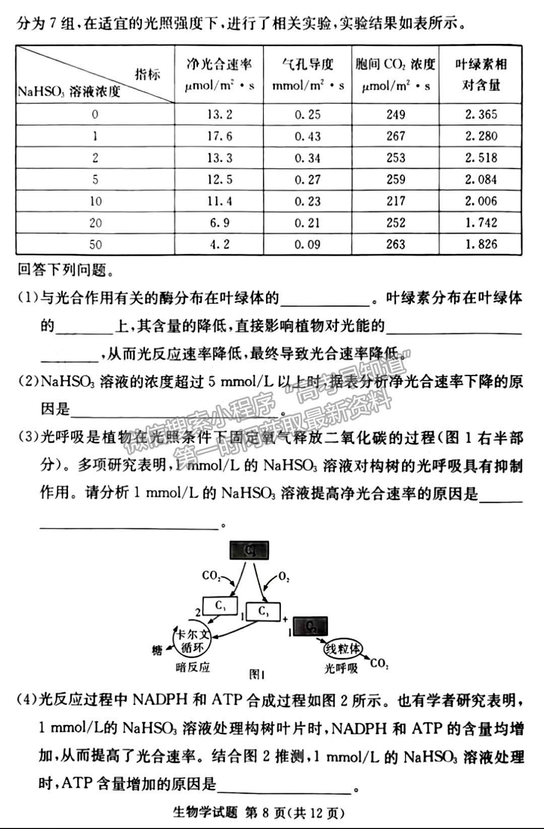 佩佩教育2023年湖南四大名校名師團(tuán)隊(duì)模擬沖刺卷生物試卷與參考答案