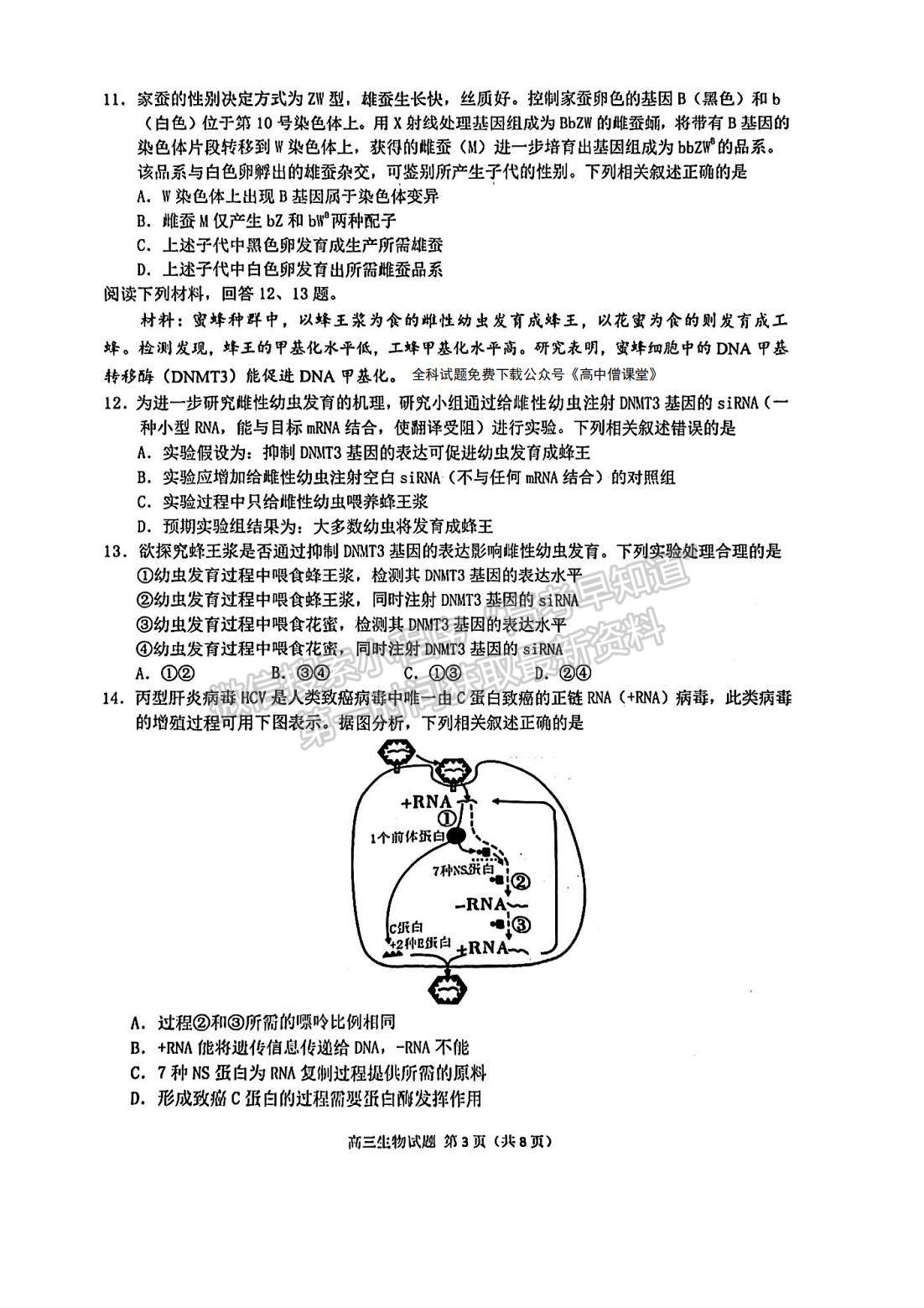 2023屆泉州二檢生物試卷及答案