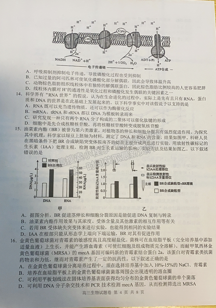 2023株洲一模生物試題及參考答案