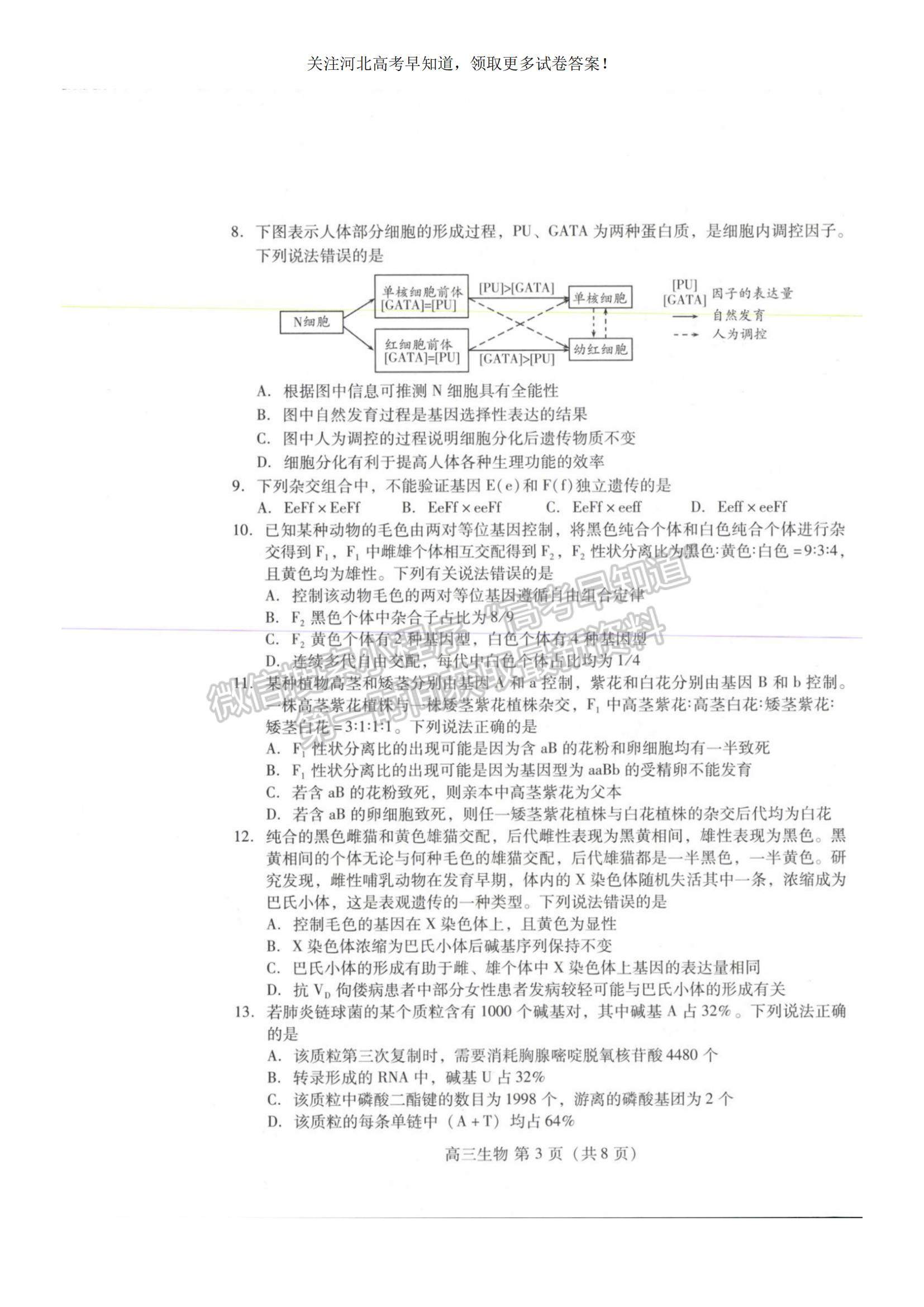 2023河北省衡水市部分中學(xué)高三10月聯(lián)考生物試題及參考答案