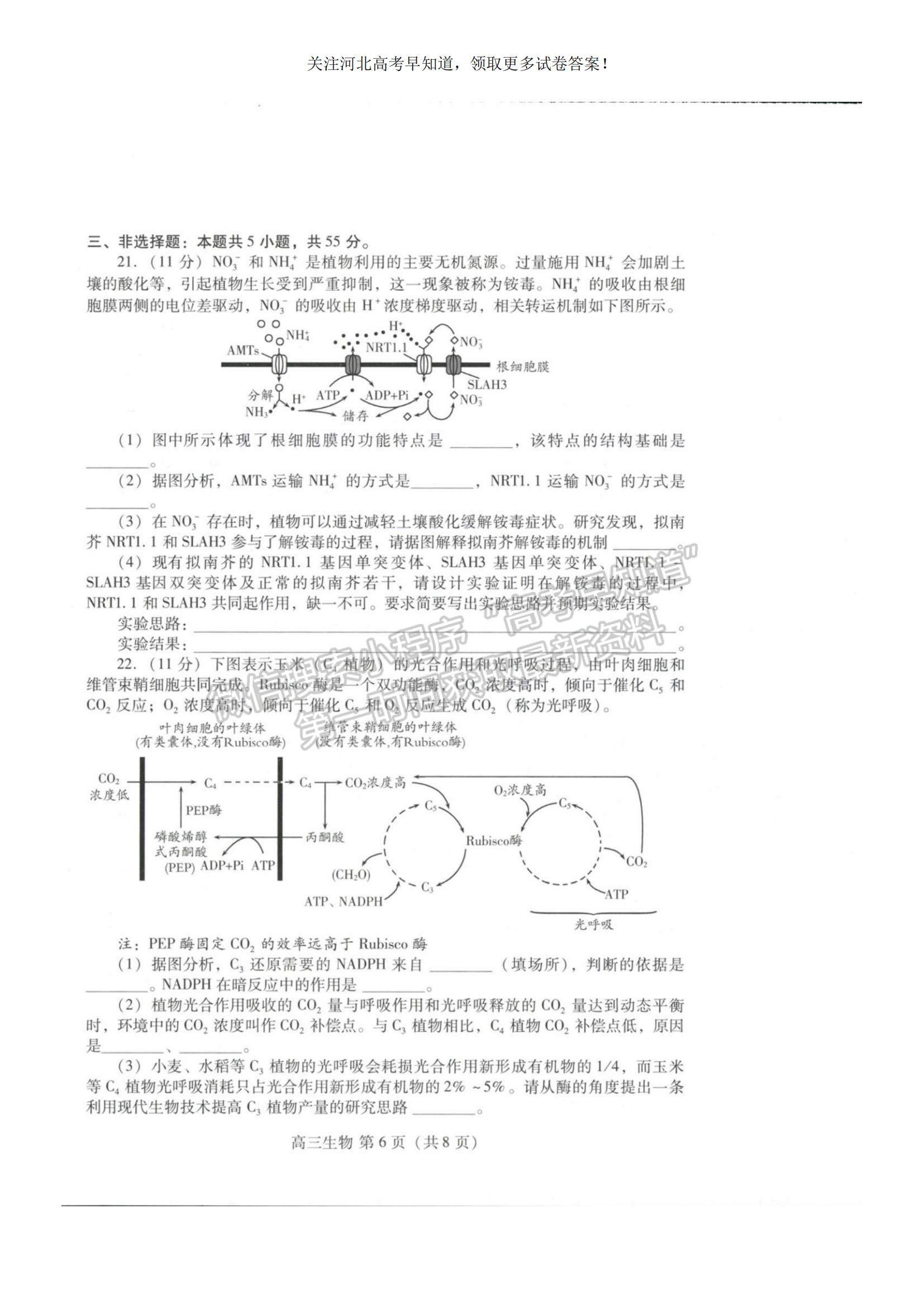 2023河北省衡水市部分中學(xué)高三10月聯(lián)考生物試題及參考答案