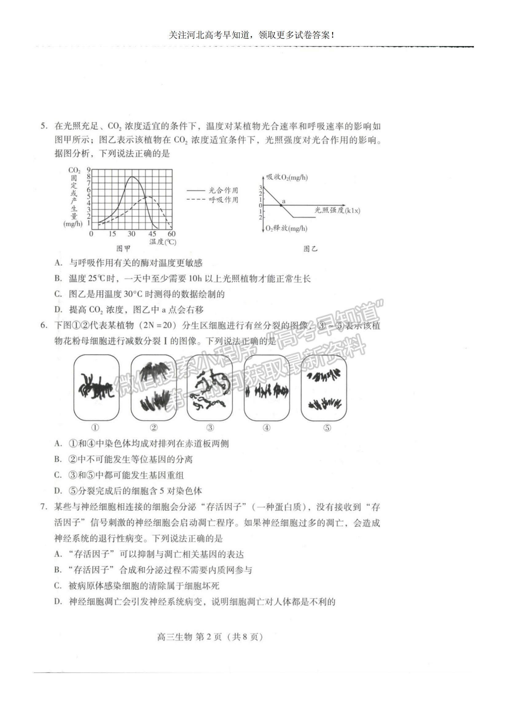 2023河北省衡水市部分中學高三10月聯(lián)考生物試題及參考答案