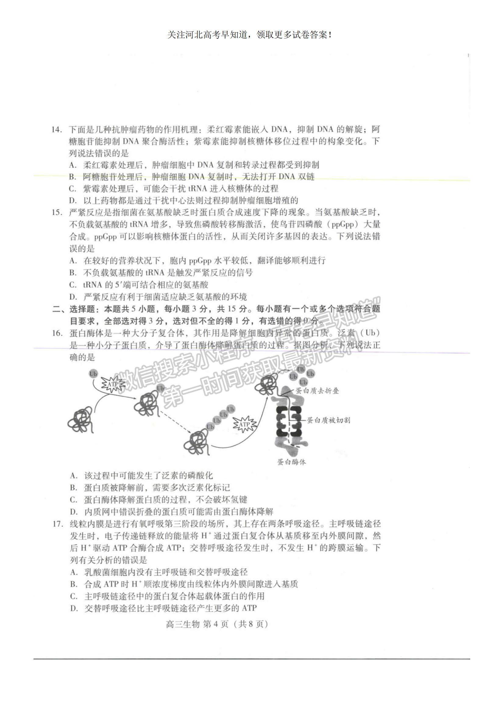 2023河北省衡水市部分中學高三10月聯(lián)考生物試題及參考答案