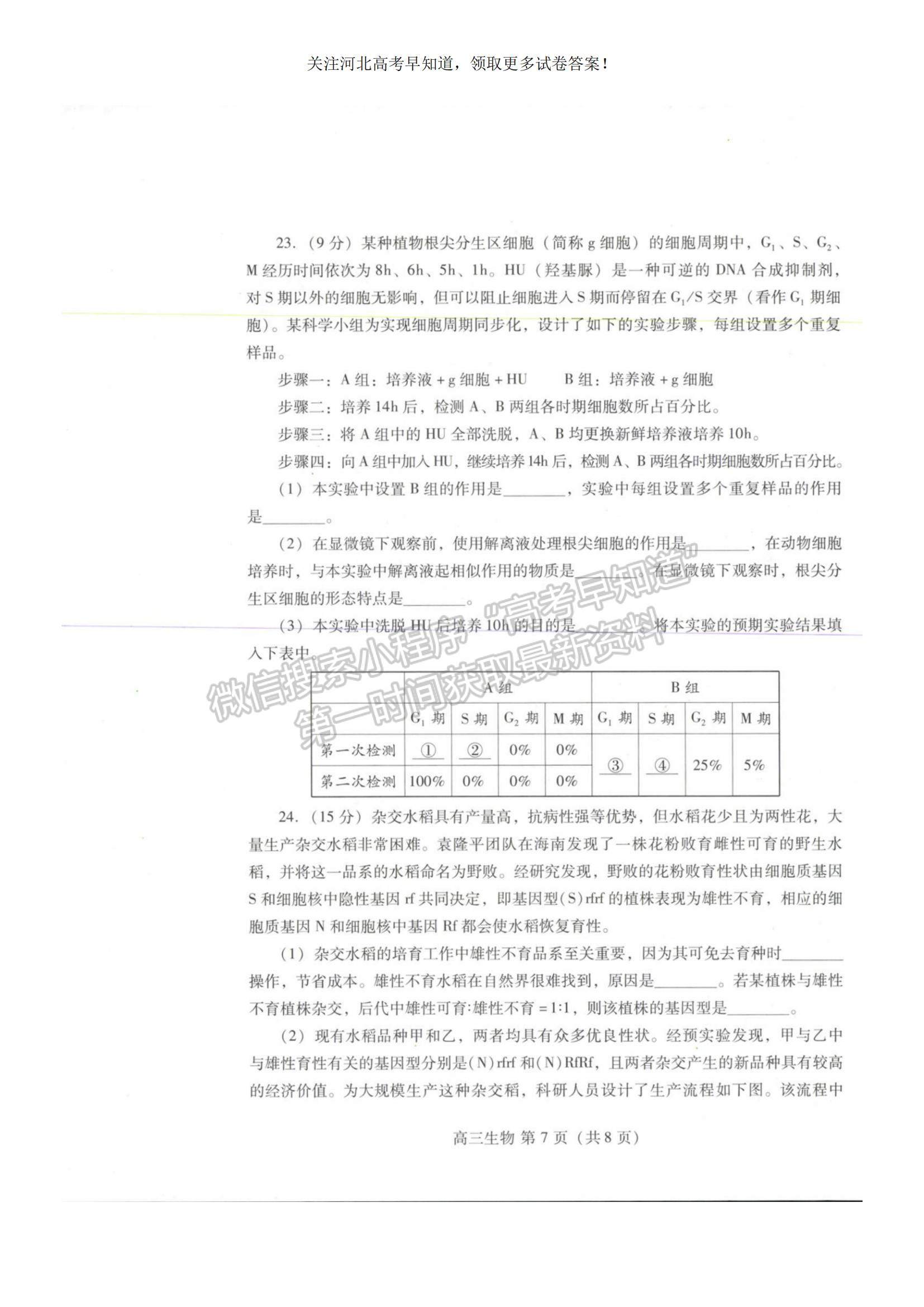 2023河北省衡水市部分中學(xué)高三10月聯(lián)考生物試題及參考答案