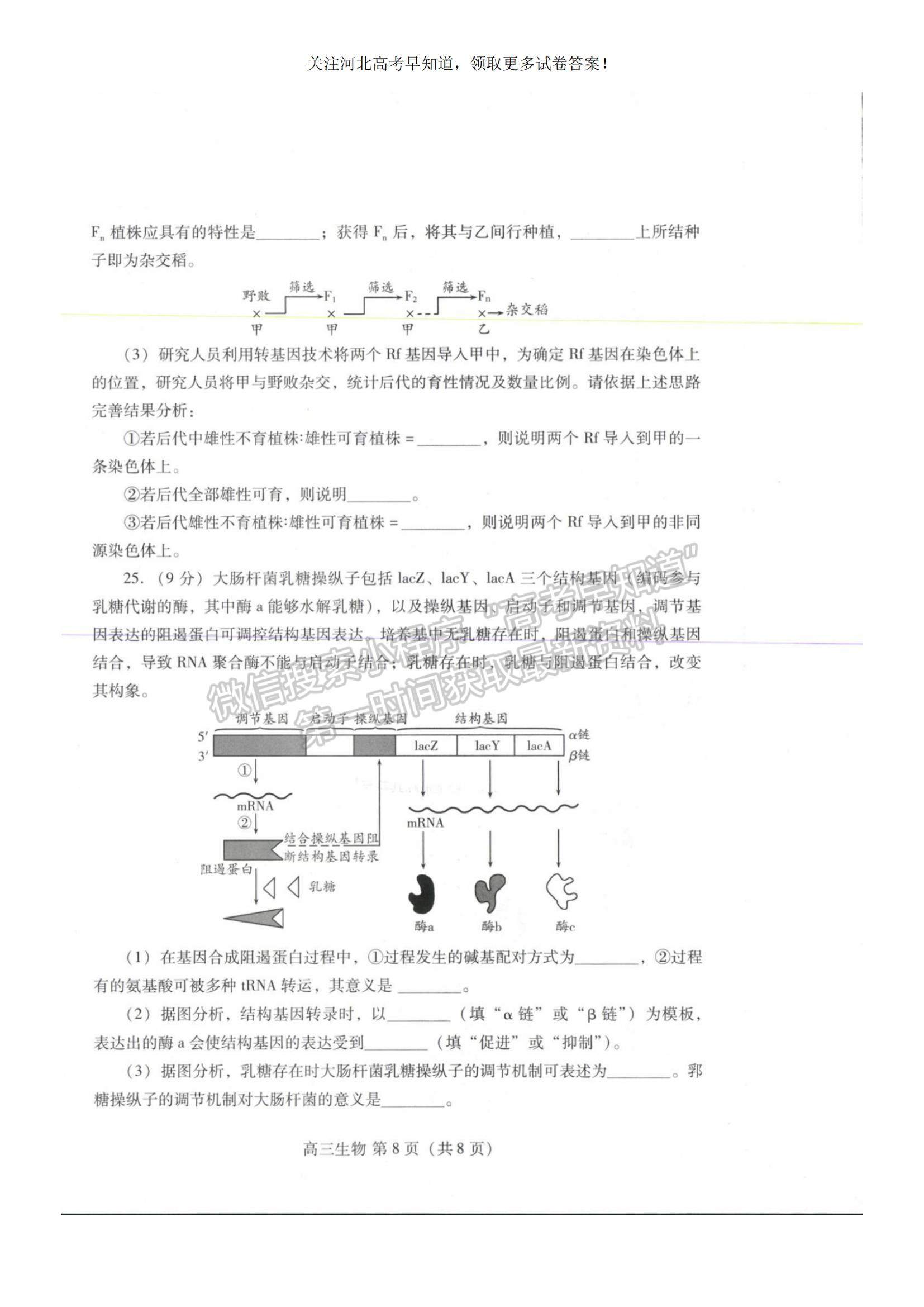 2023河北省衡水市部分中學(xué)高三10月聯(lián)考生物試題及參考答案