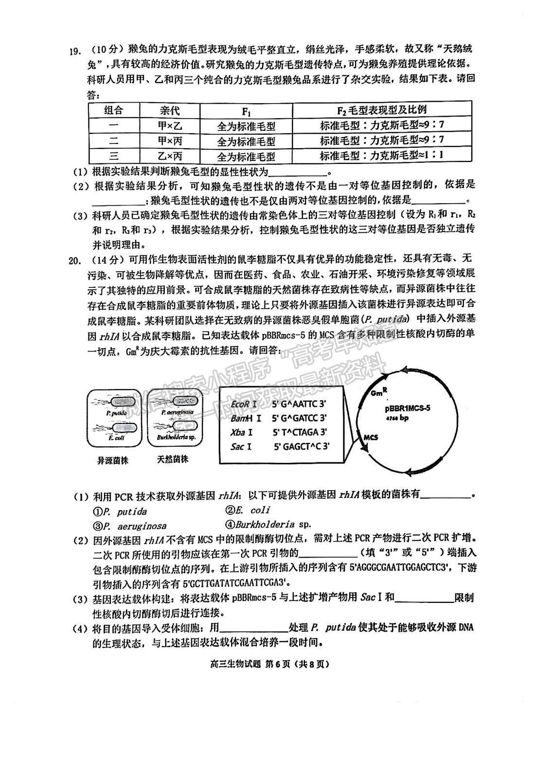 2023屆泉州二檢生物試卷及答案