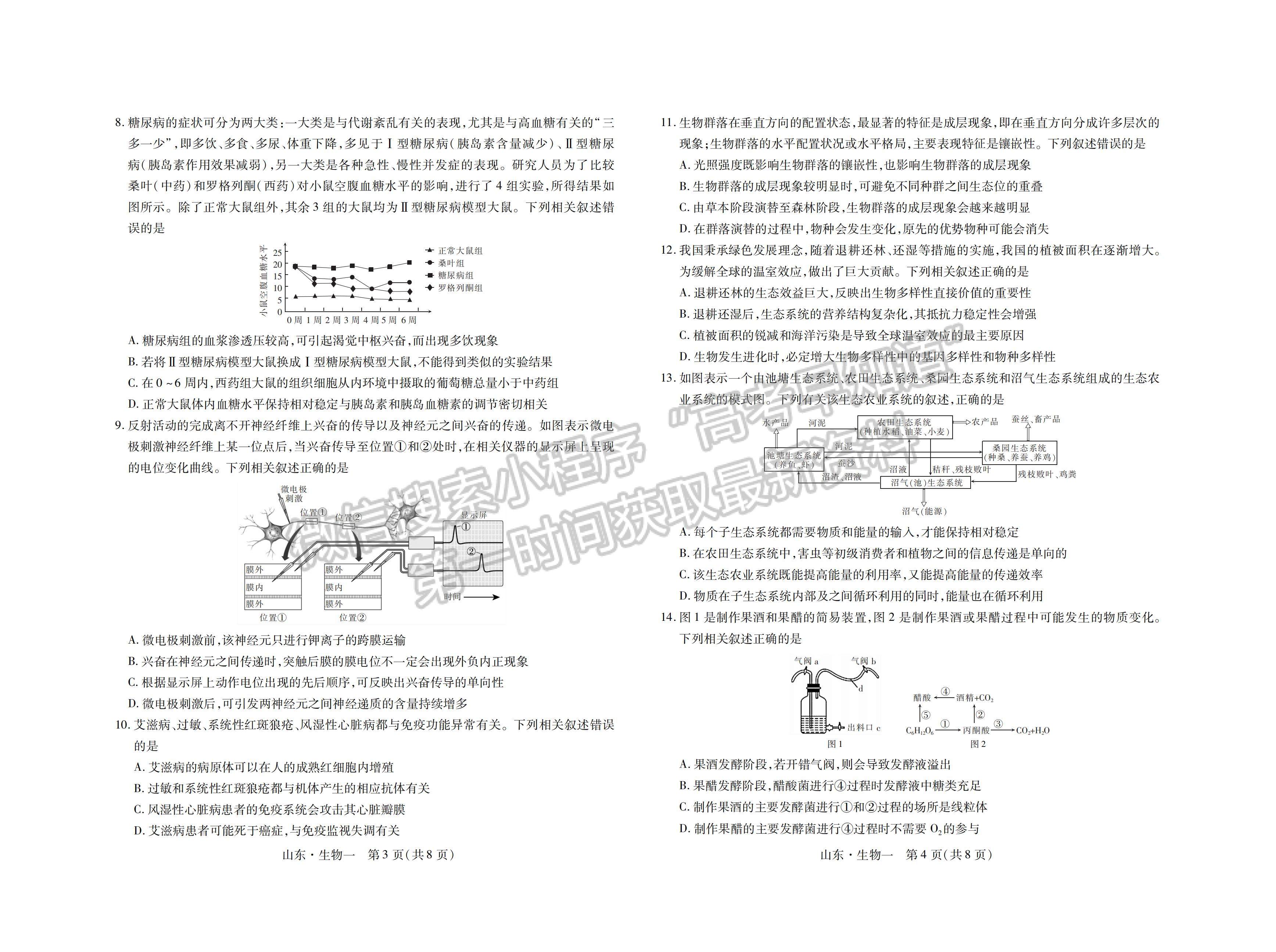 2023山東省普通高等學(xué)校招生全國統(tǒng)一考試仿真模擬（一）-生物試卷及答案