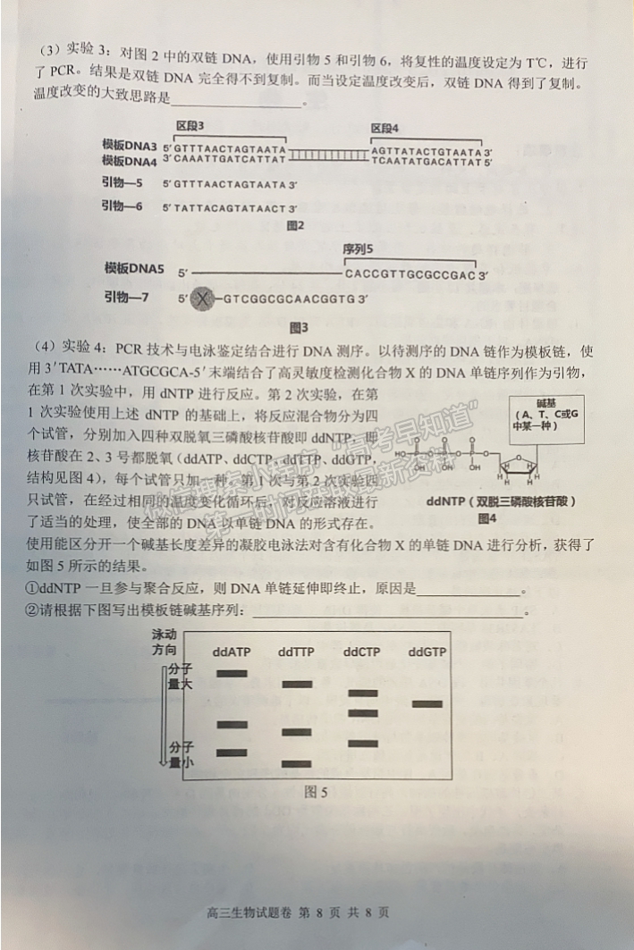 2023株洲一模生物試題及參考答案