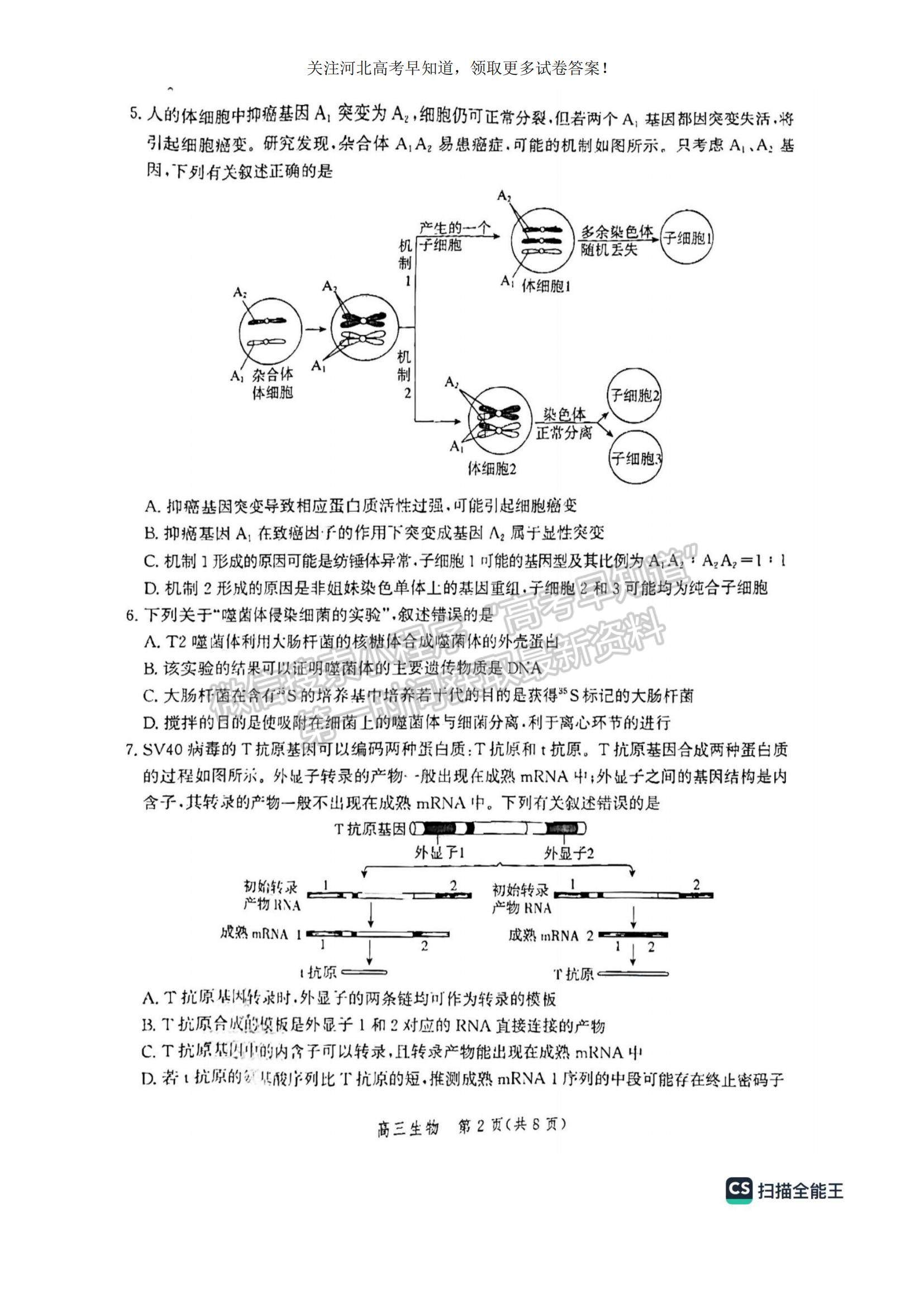 2023河北省滄州市普通高中高三上學期摸底考試生物試題及參考答案