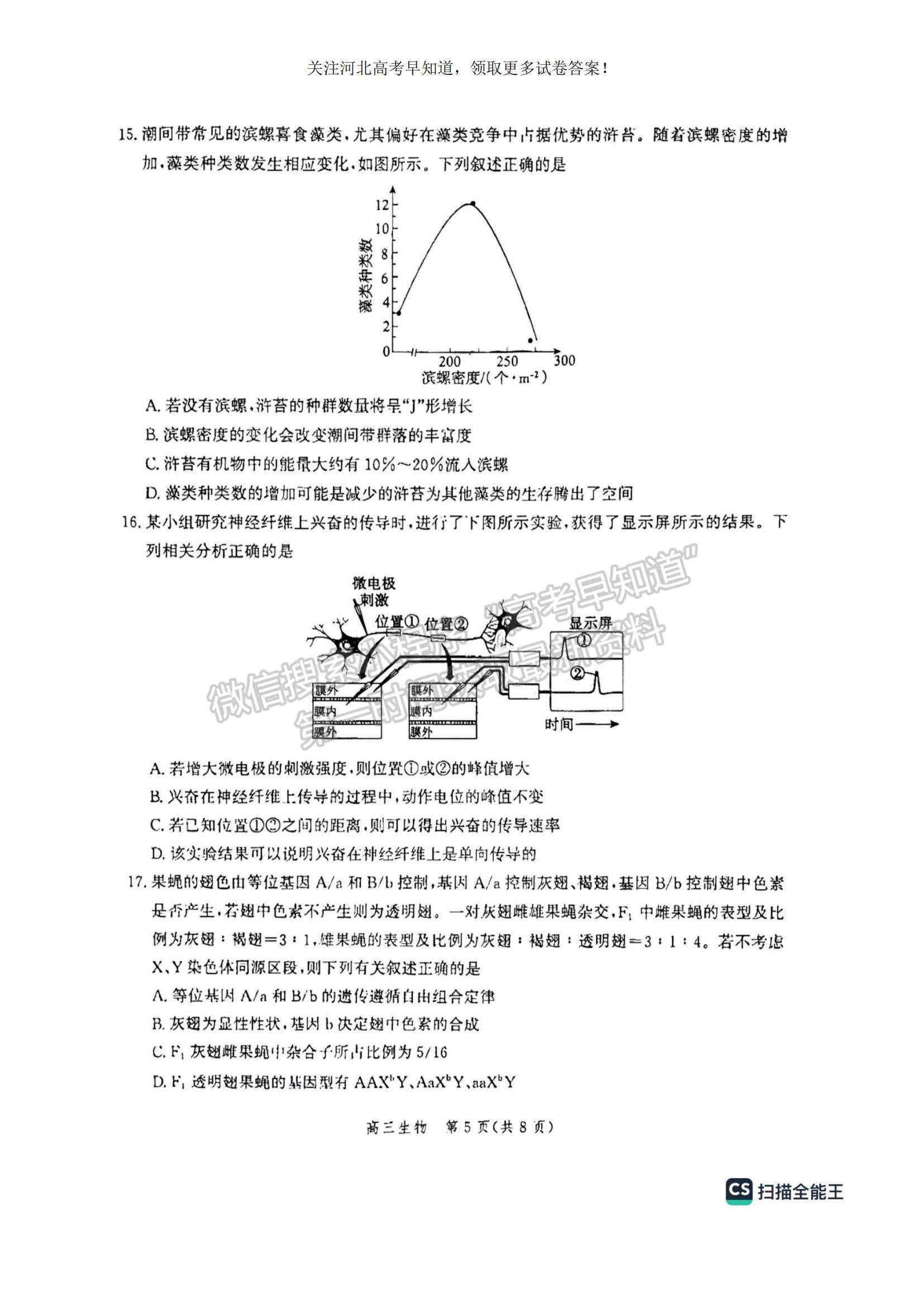 2023河北省滄州市普通高中高三上學期摸底考試生物試題及參考答案