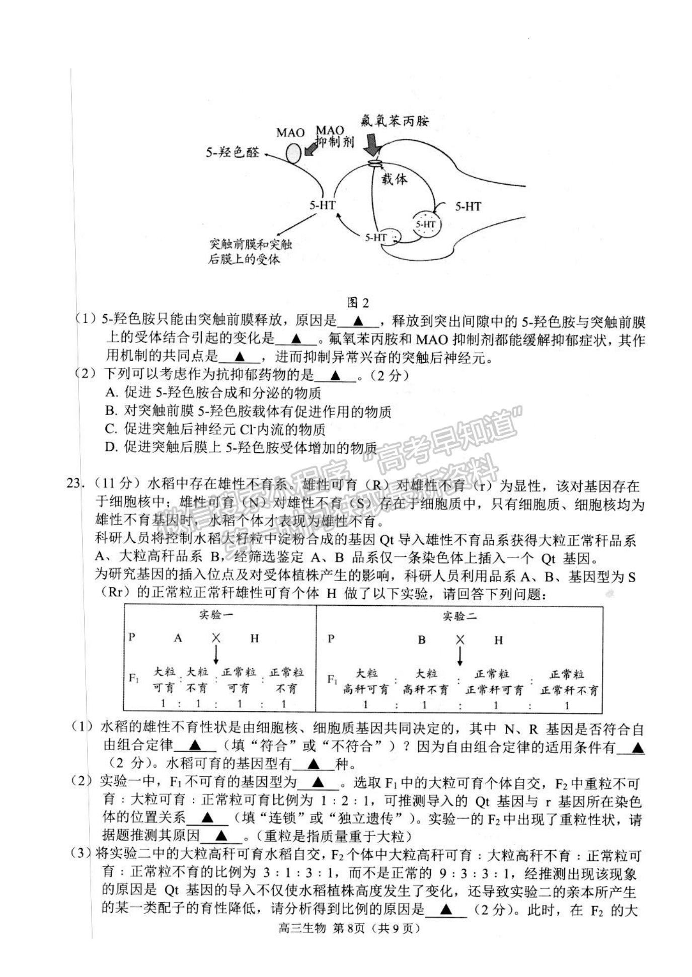 2023江蘇省揚(yáng)州市高三下學(xué)期開學(xué)考試生物試題及答案