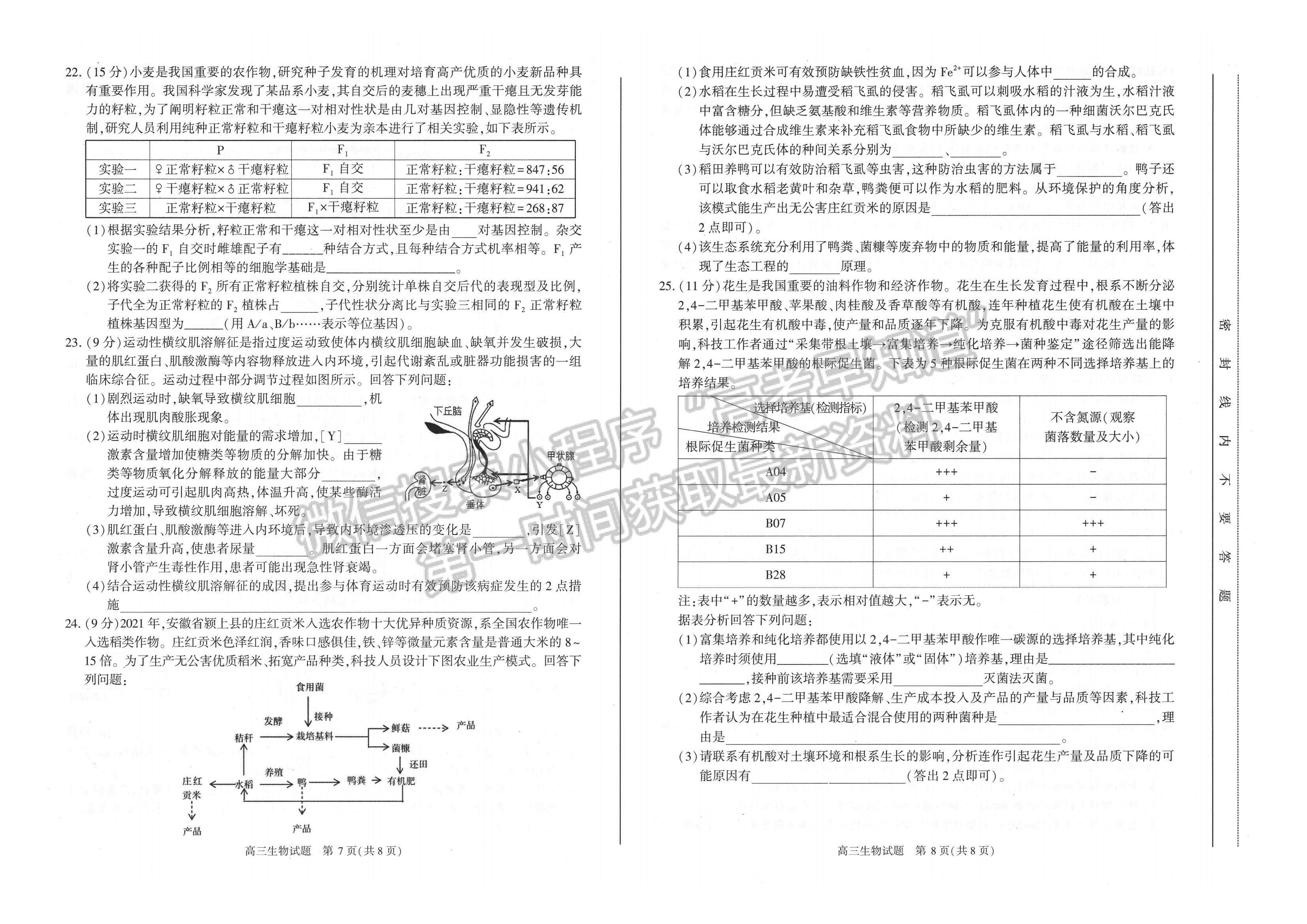 2023安徽合肥市高三第一次教學(xué)質(zhì)量檢測(cè)生物試卷及答案