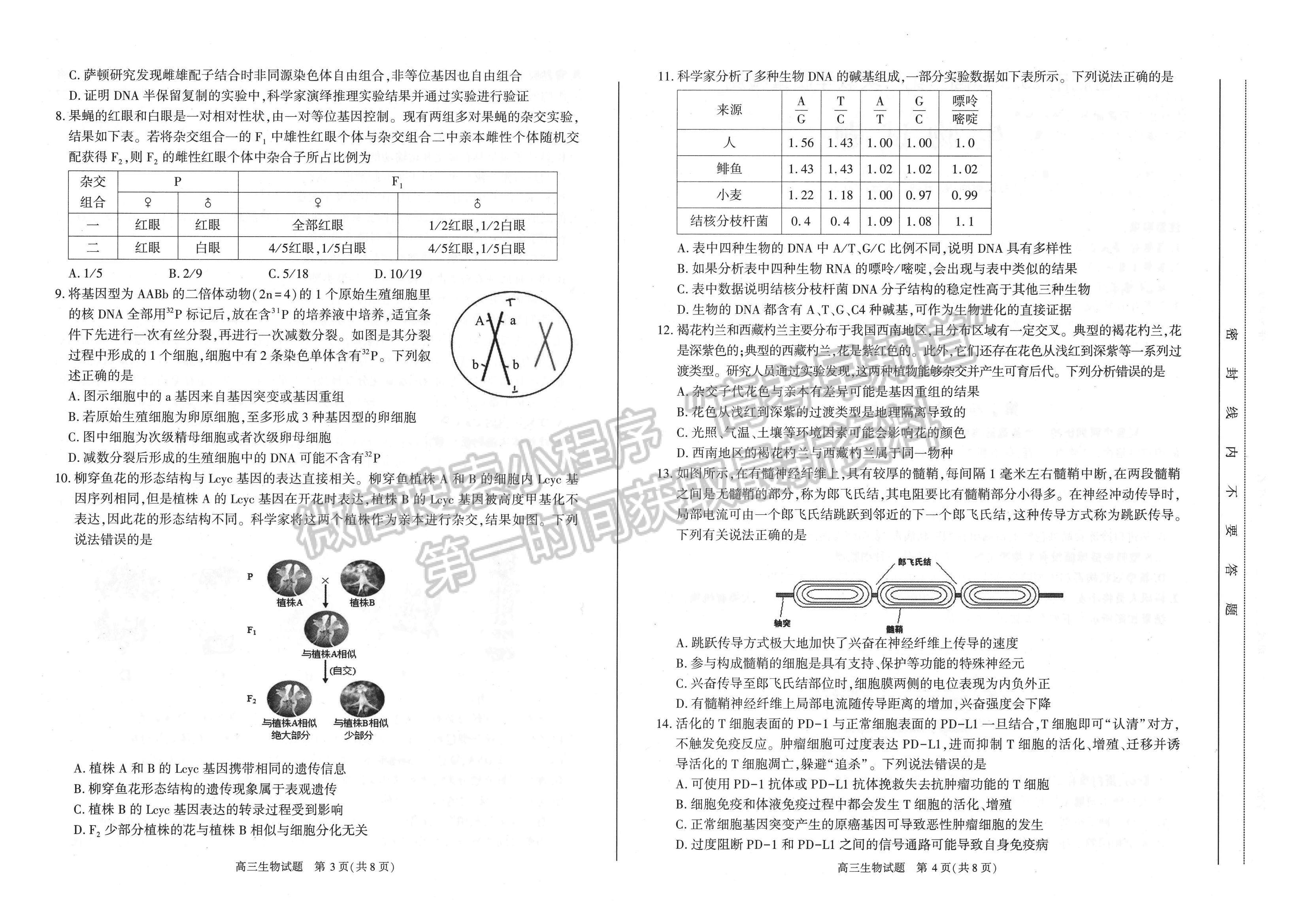 2023安徽合肥市高三第一次教學(xué)質(zhì)量檢測生物試卷及答案