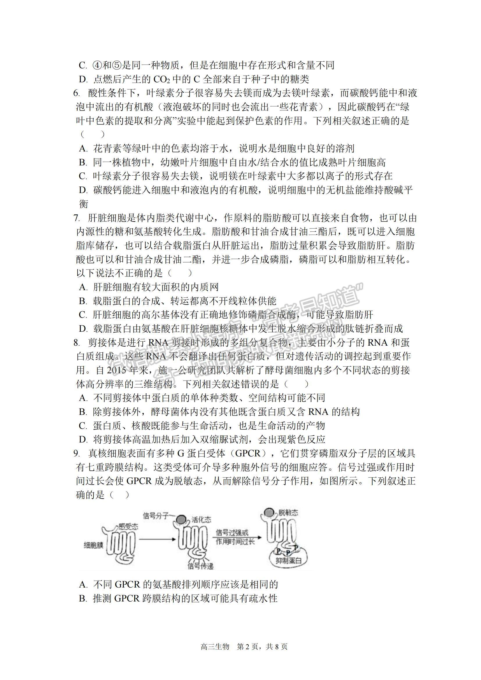 2023安徽省合肥一中高三上學(xué)期11月月考生物試題及參考答案