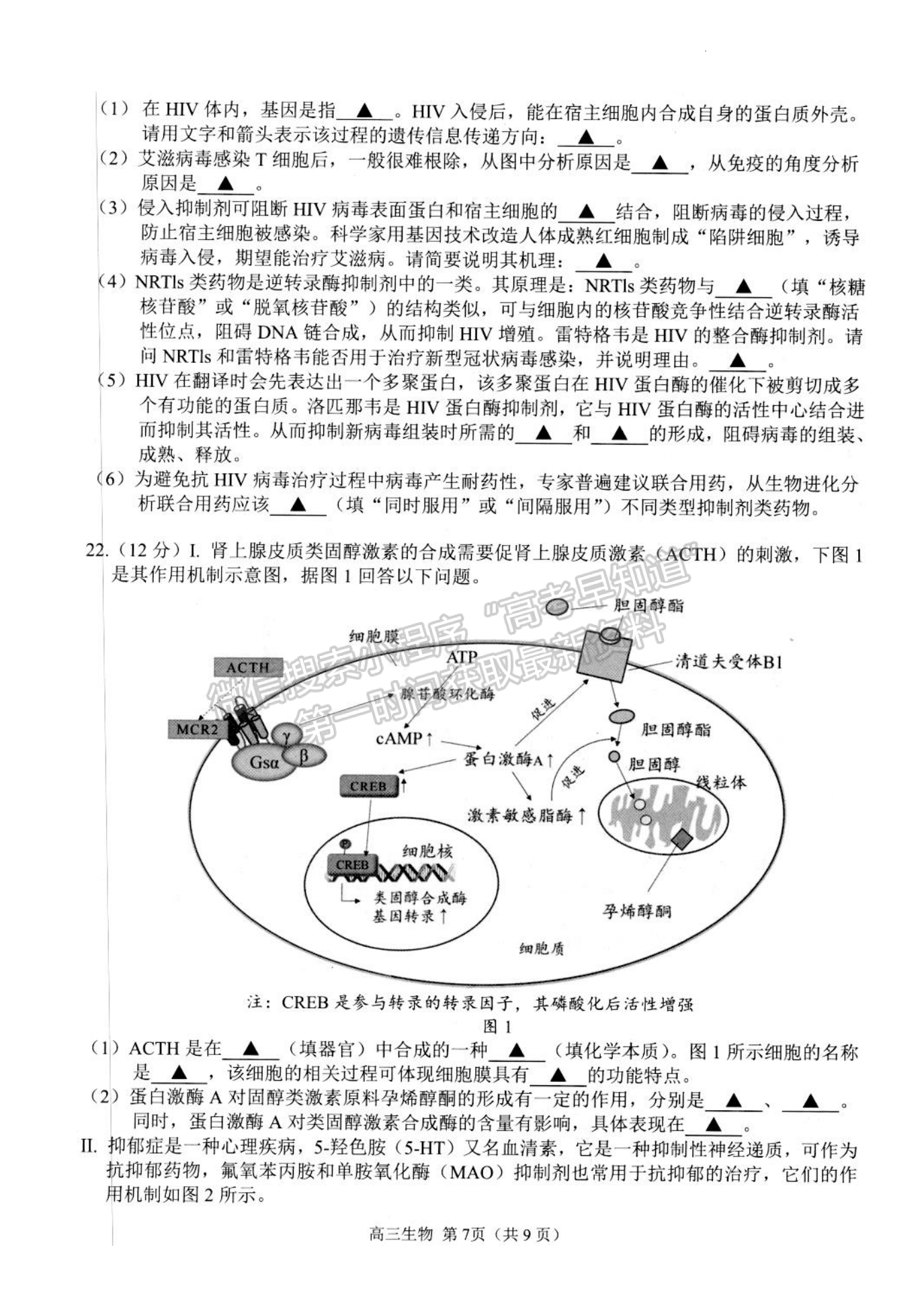 2023江蘇省揚州市高三下學(xué)期開學(xué)考試生物試題及答案