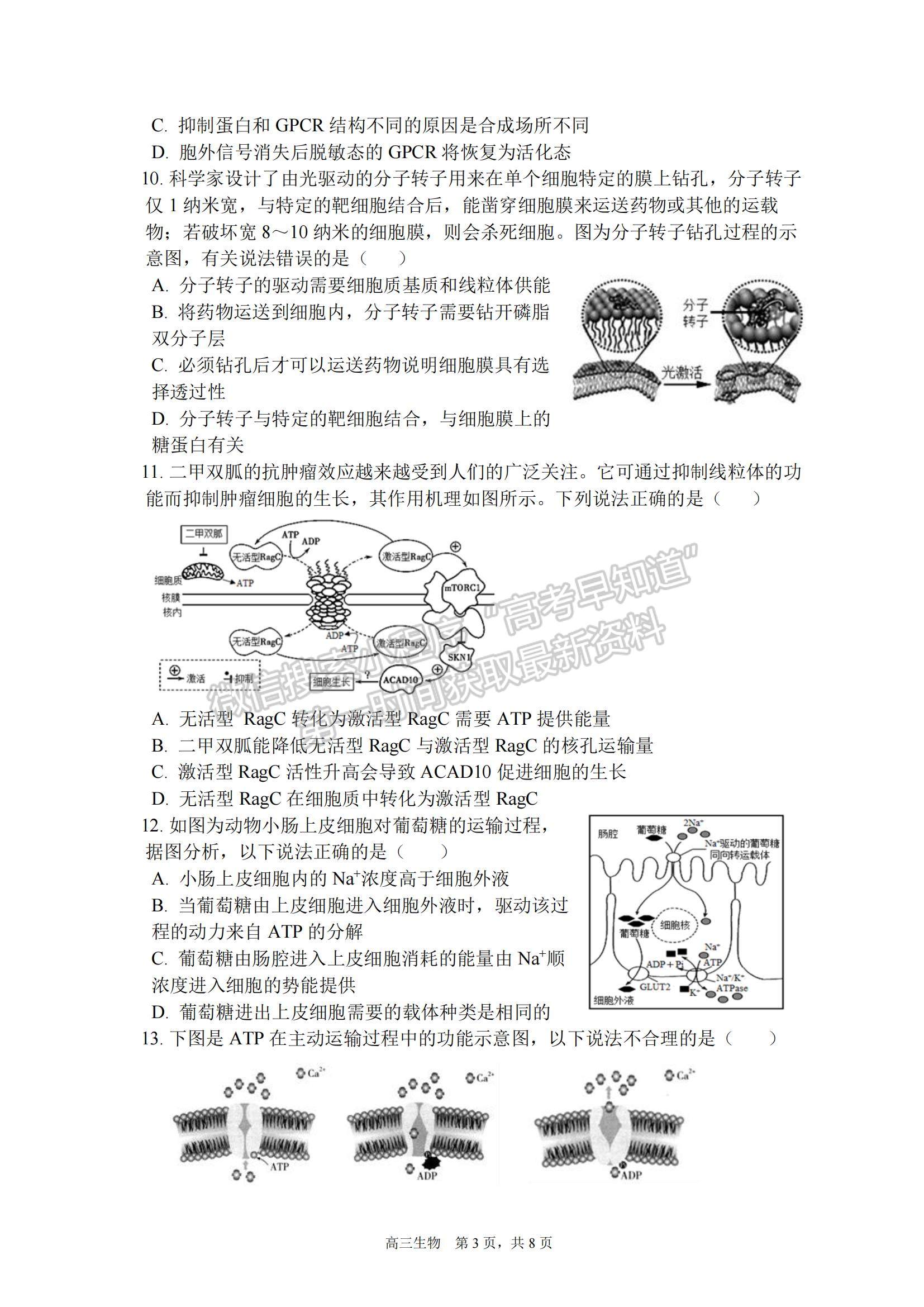 2023安徽省合肥一中高三上學(xué)期11月月考生物試題及參考答案