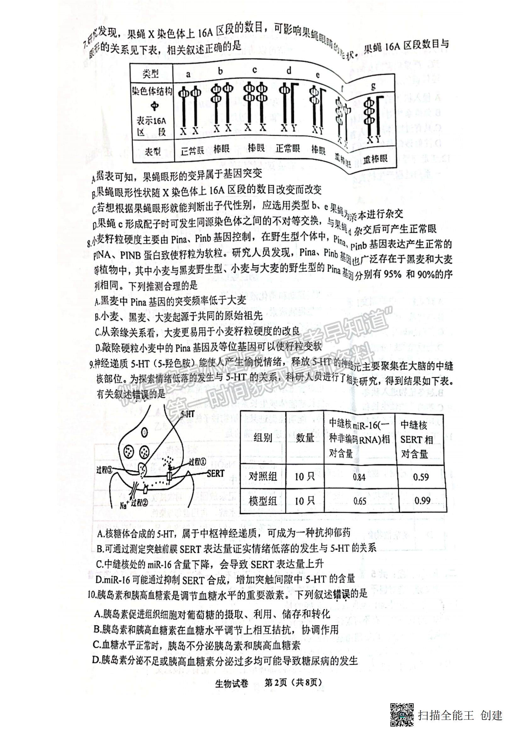 2023江蘇省蘇北四市（徐州、宿遷、連云港、淮安）高三上學期期中考試生物試題及答案