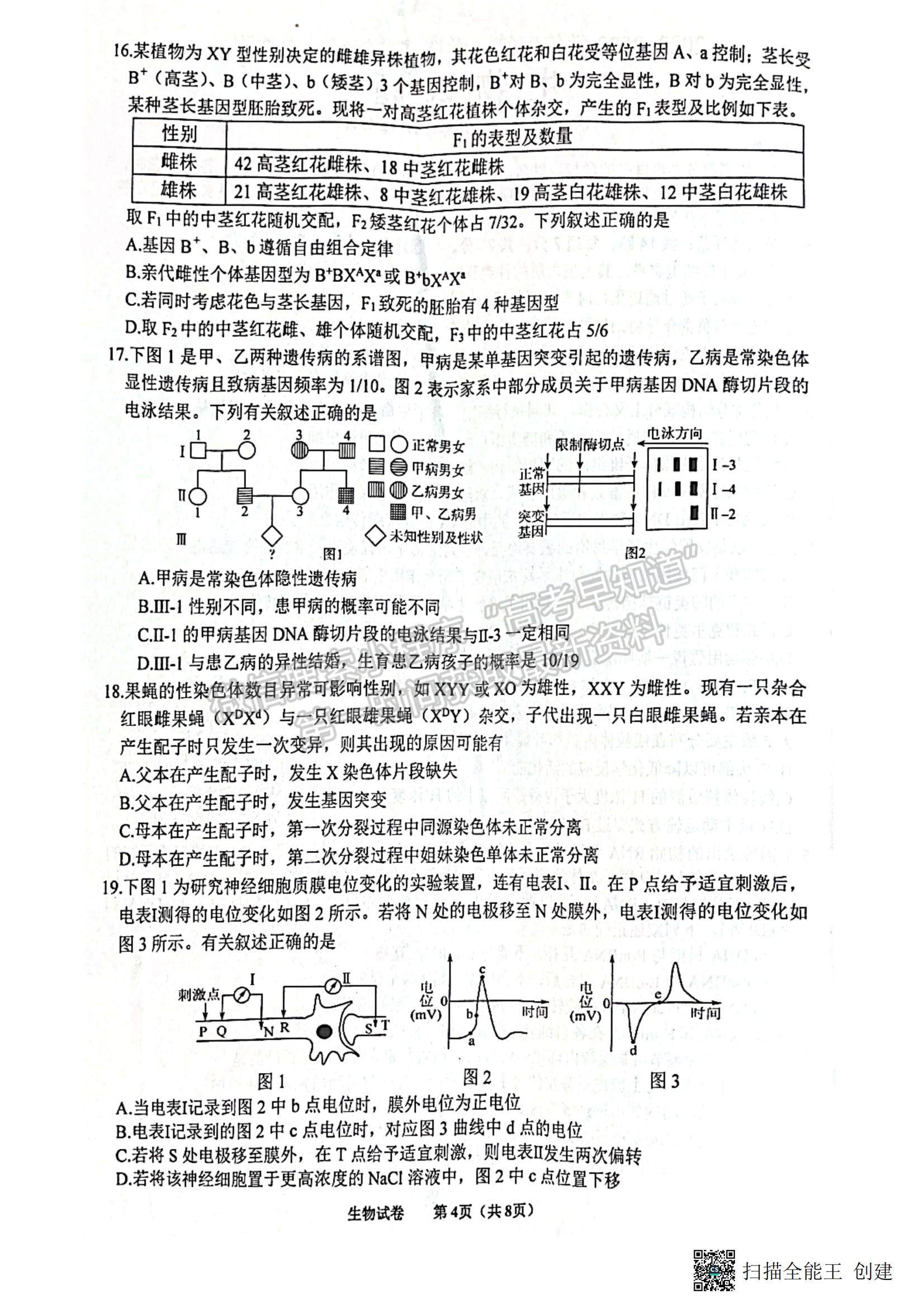 2023江蘇省蘇北四市（徐州、宿遷、連云港、淮安）高三上學(xué)期期中考試生物試題及答案