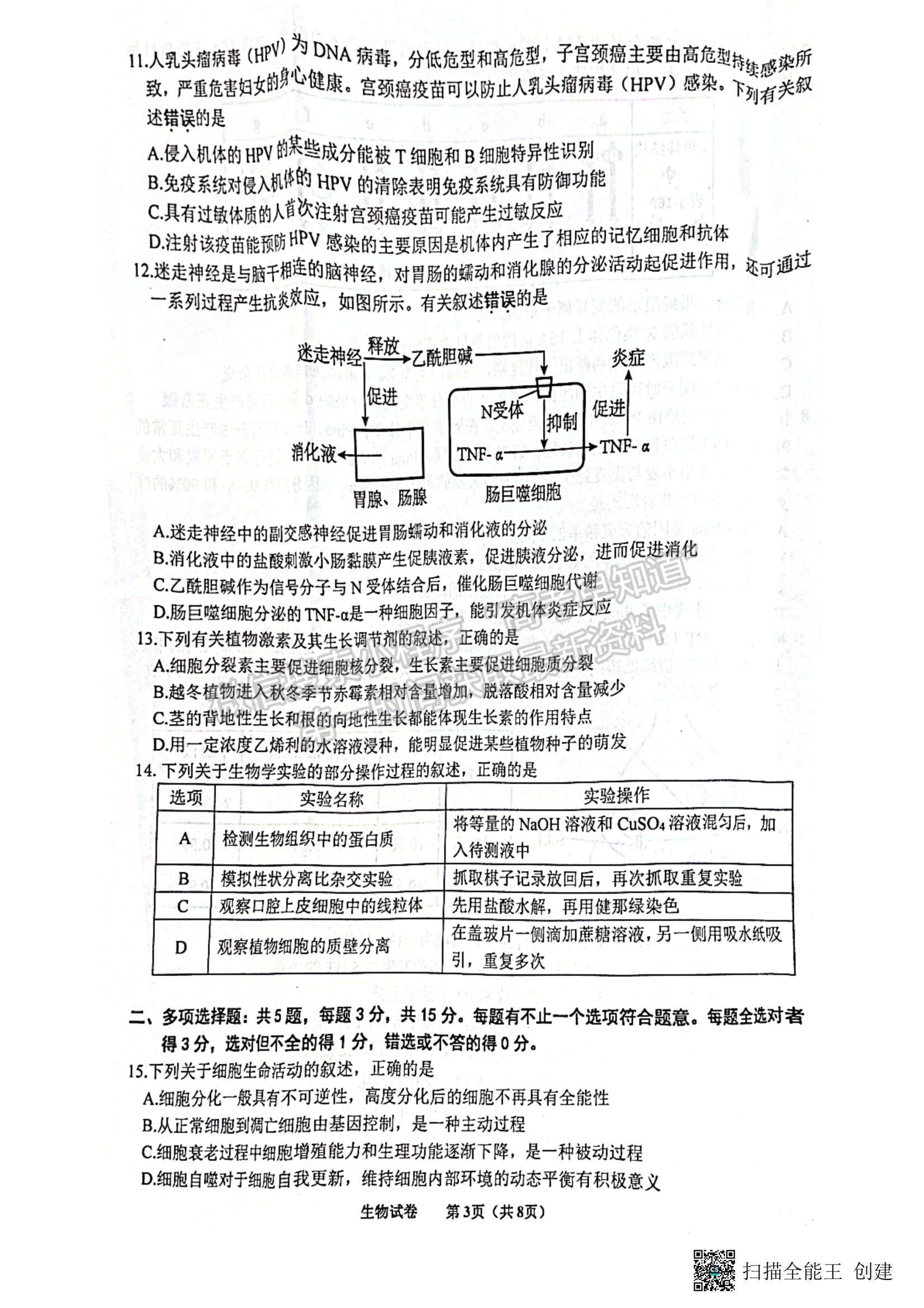 2023江蘇省蘇北四市（徐州、宿遷、連云港、淮安）高三上學(xué)期期中考試生物試題及答案