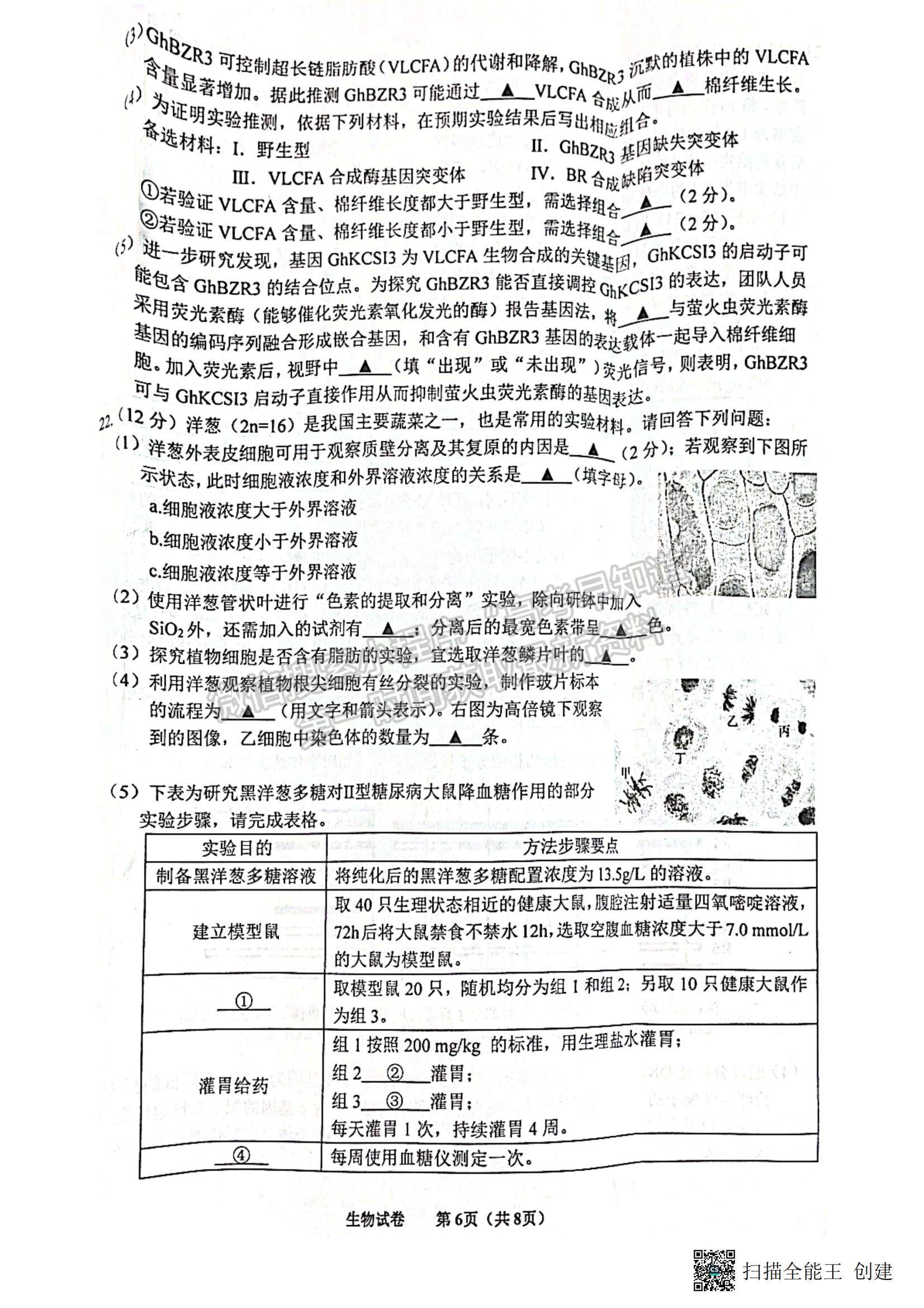 2023江蘇省蘇北四市（徐州、宿遷、連云港、淮安）高三上學(xué)期期中考試生物試題及答案