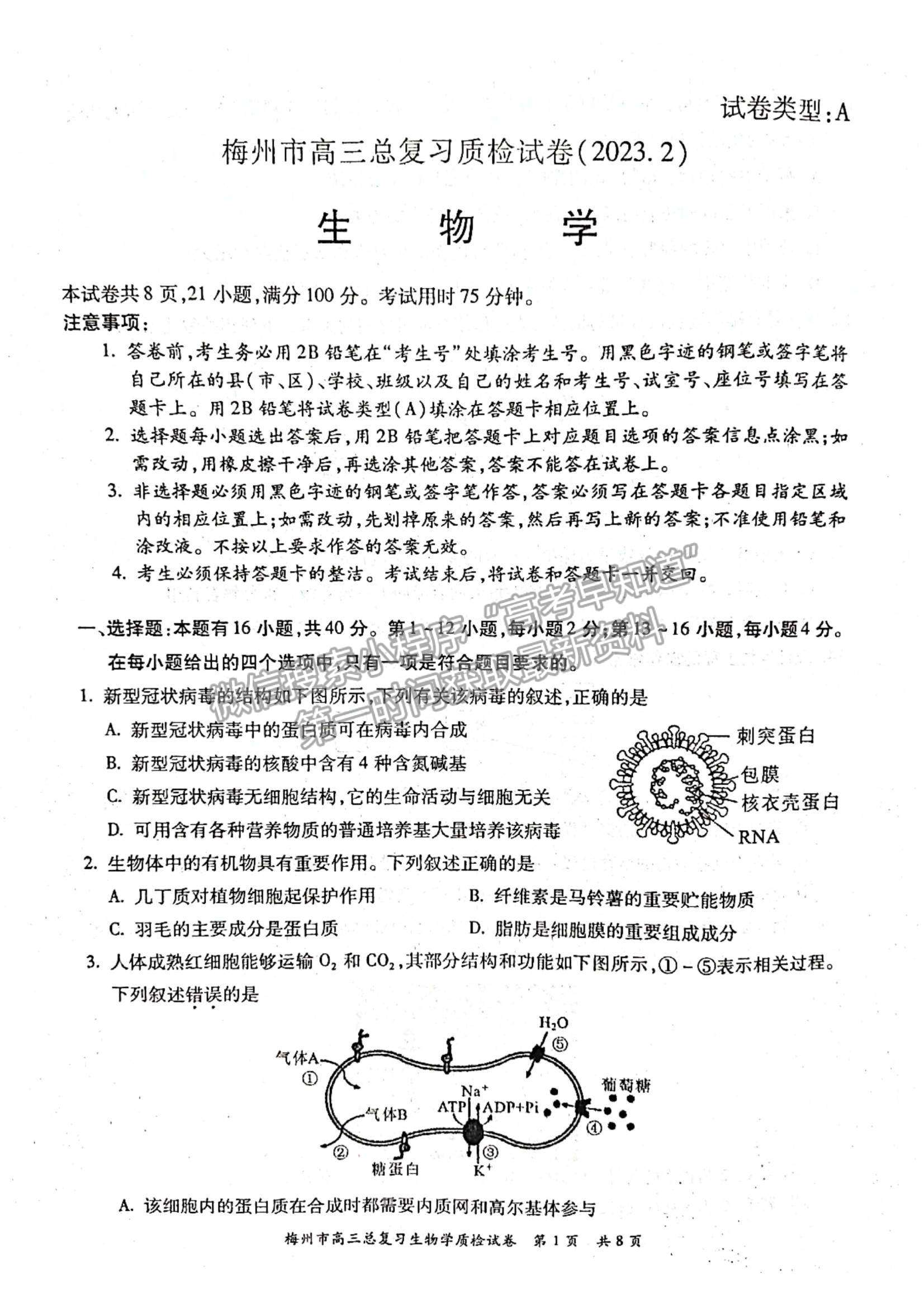 2023梅州一模生物試題及答案