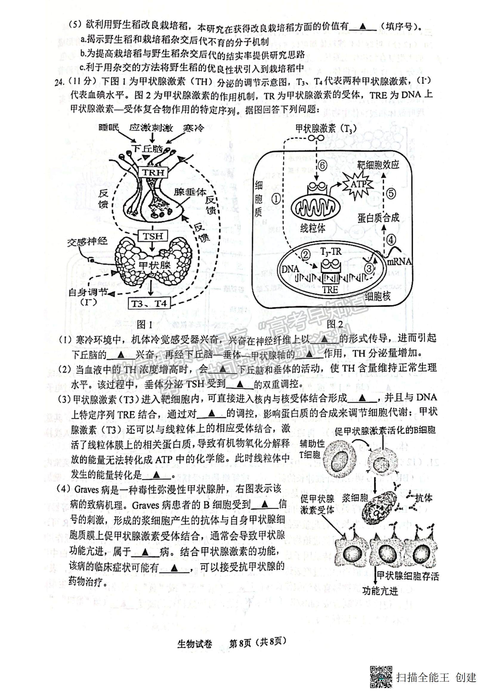 2023江蘇省蘇北四市（徐州、宿遷、連云港、淮安）高三上學(xué)期期中考試生物試題及答案