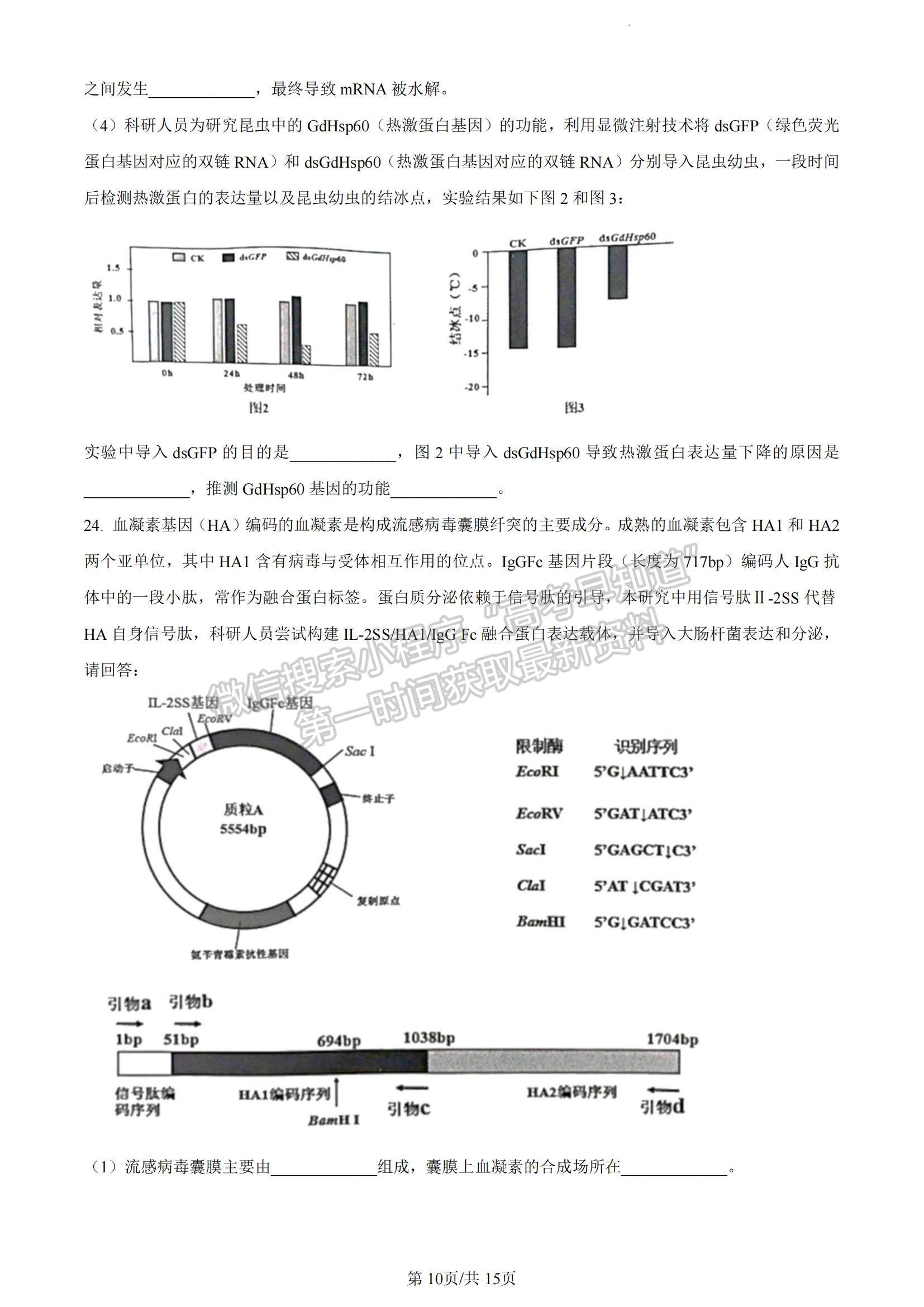 2023江蘇省南通市海安市高三上學(xué)期期中考試生物試題及參考答案