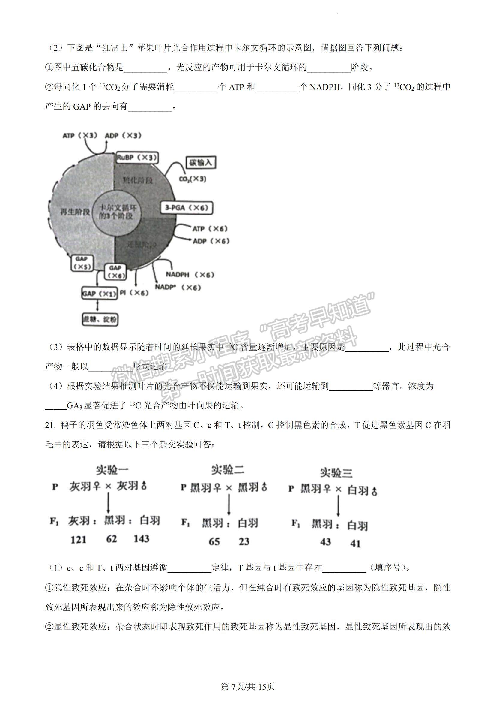 2023江蘇省南通市海安市高三上學期期中考試生物試題及參考答案