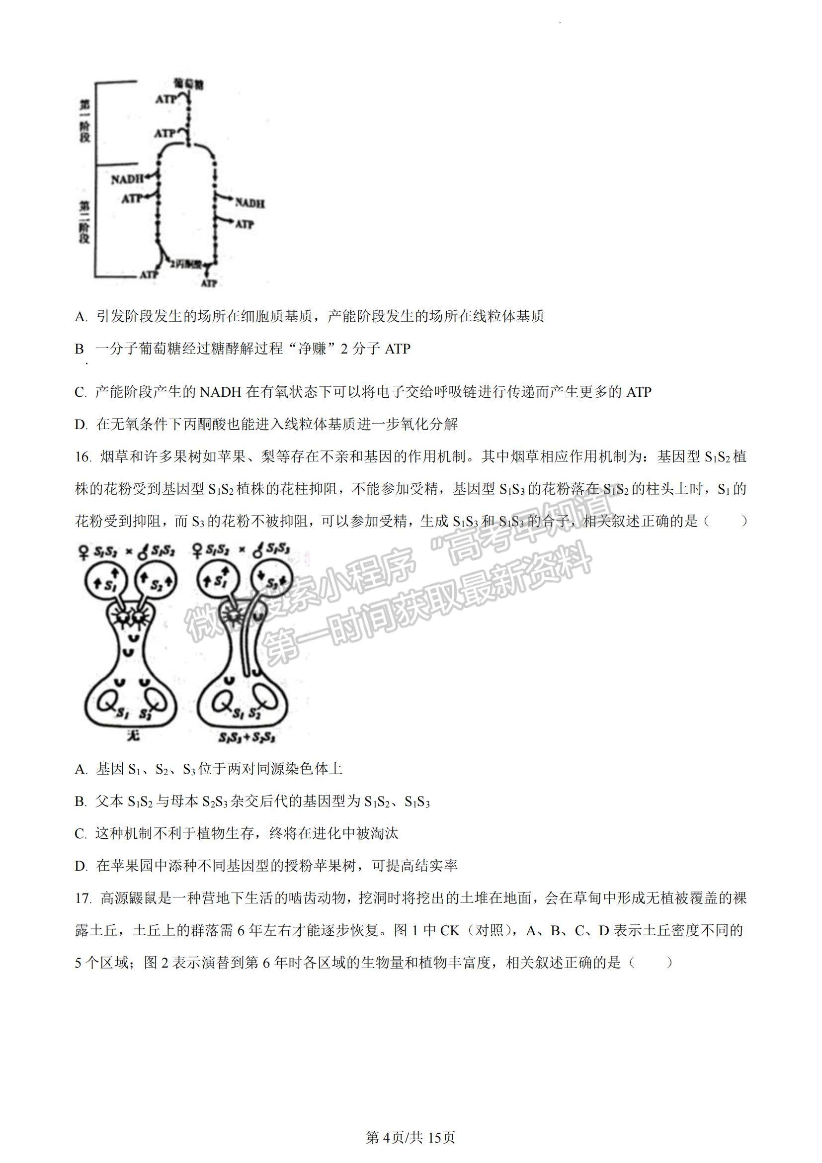 2023江蘇省南通市海安市高三上學(xué)期期中考試生物試題及參考答案