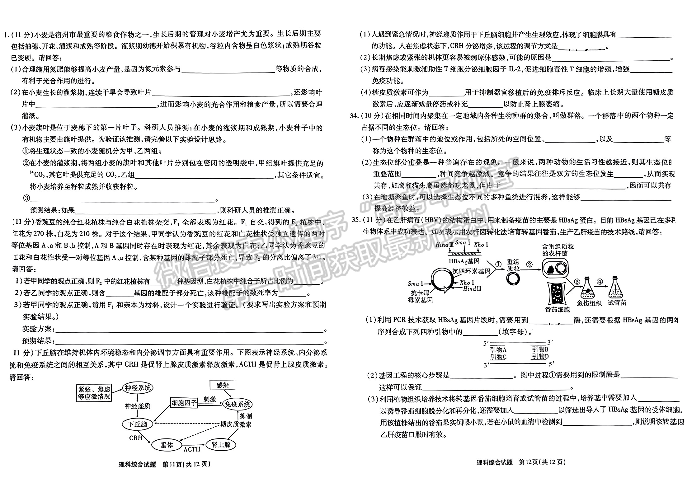 2023安徽宿州高三質(zhì)量檢測理綜試卷及答案