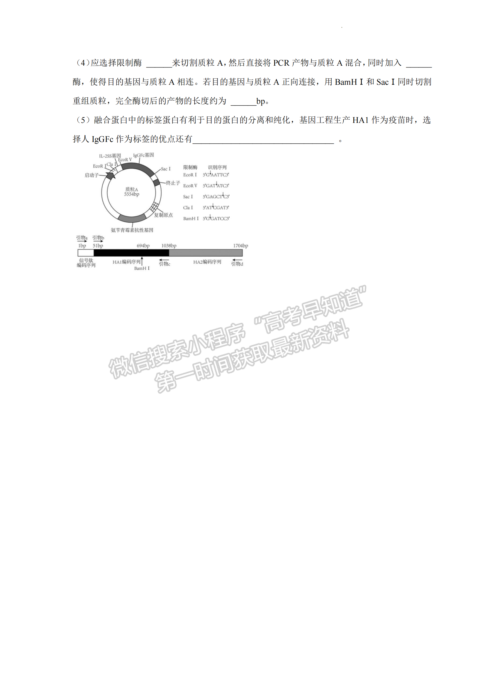 2023安徽合肥市肥東縣綜合高中高三一模理綜試卷及答案