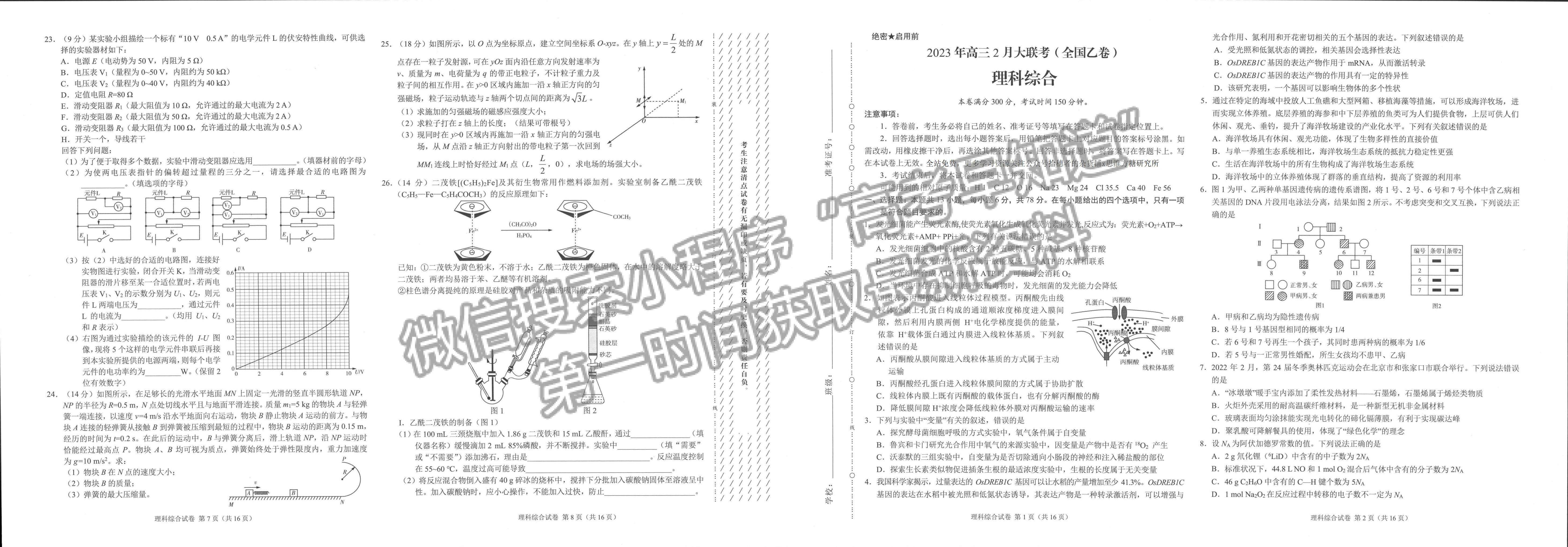 學(xué)科網(wǎng)2023屆高三下學(xué)期2月開(kāi)學(xué)摸底考試?yán)砭C