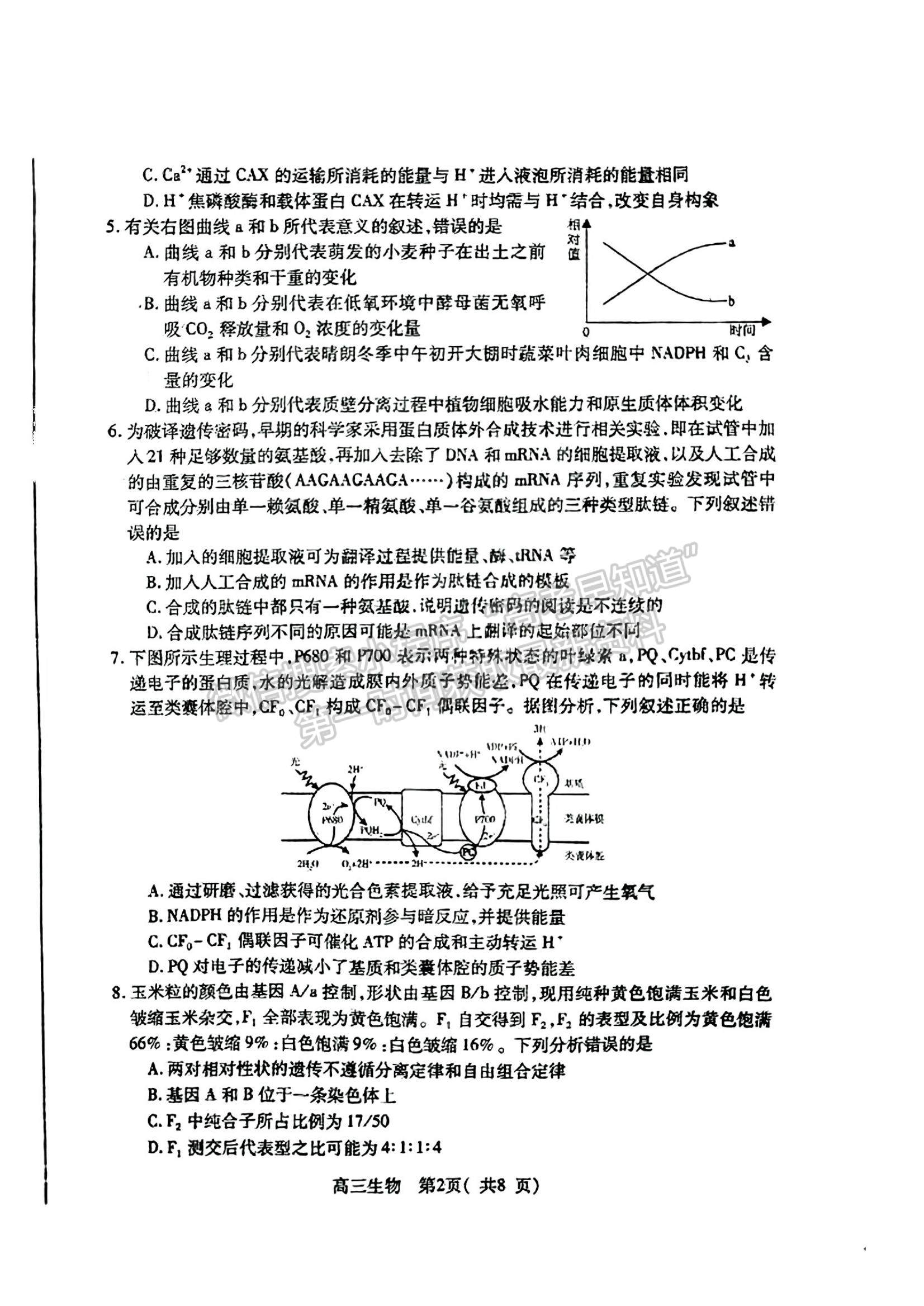 2023山東省煙臺市高三上學(xué)期期中考試生物試題及參考答案