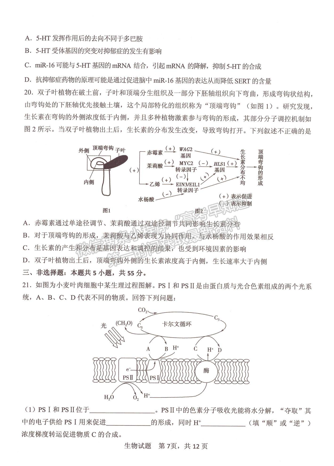 2023山東省實(shí)驗(yàn)中學(xué)高三第二次診斷考試生物試題及參考答案