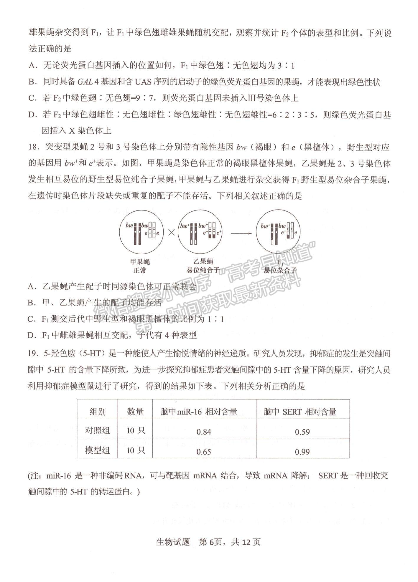 2023山東省實(shí)驗(yàn)中學(xué)高三第二次診斷考試生物試題及參考答案