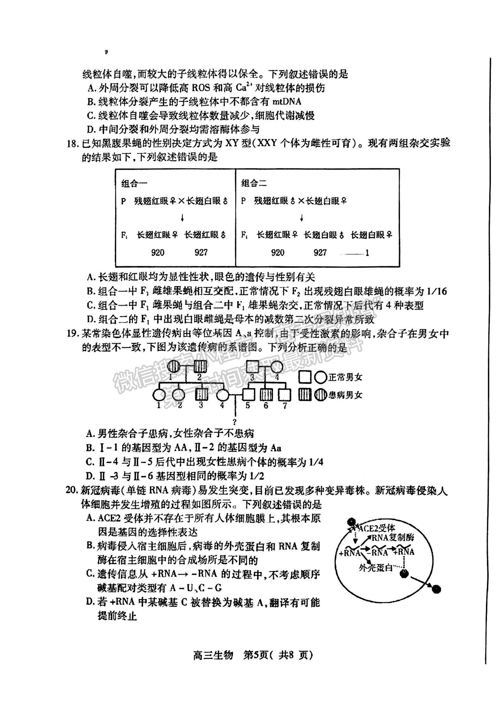 2023山東省煙臺市高三上學(xué)期期中考試生物試題及參考答案