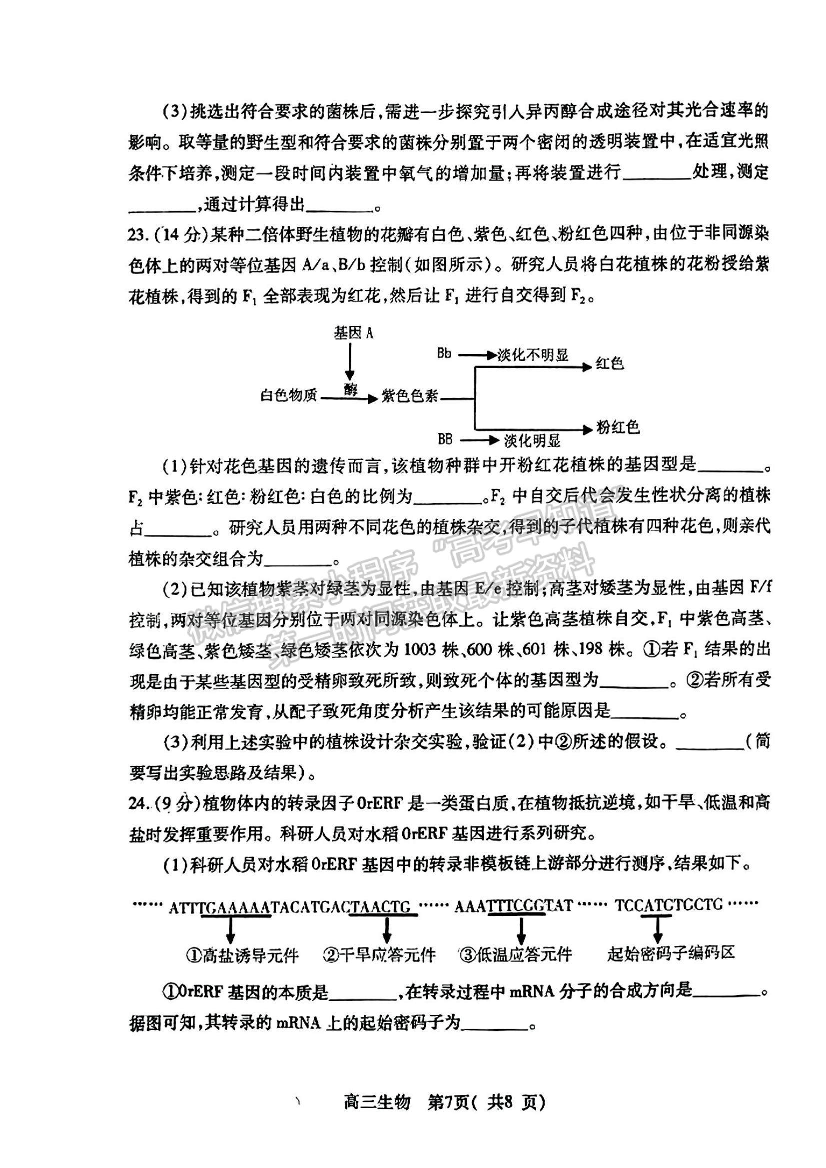 2023山東省煙臺市高三上學(xué)期期中考試生物試題及參考答案