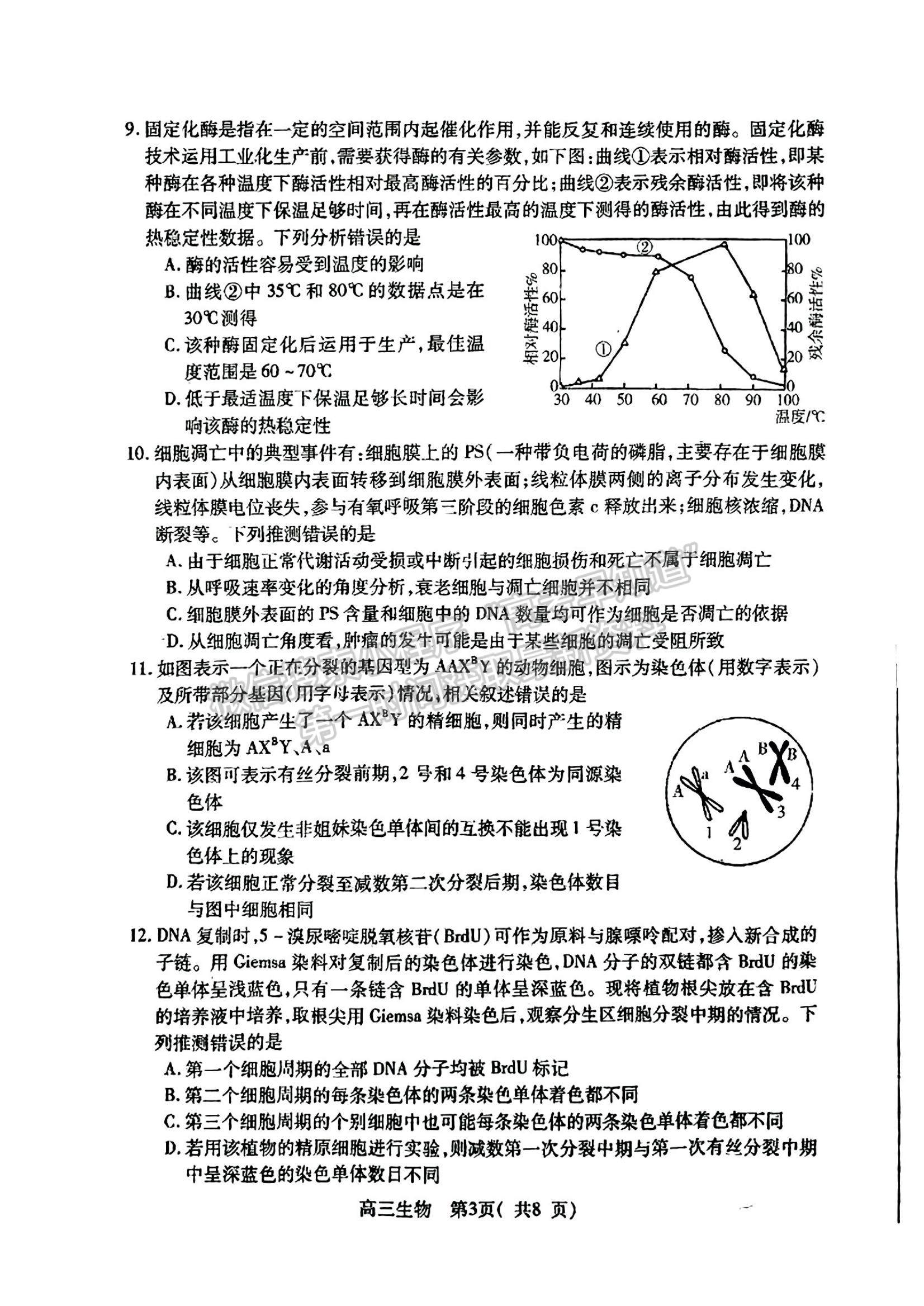 2023山東省煙臺市高三上學(xué)期期中考試生物試題及參考答案