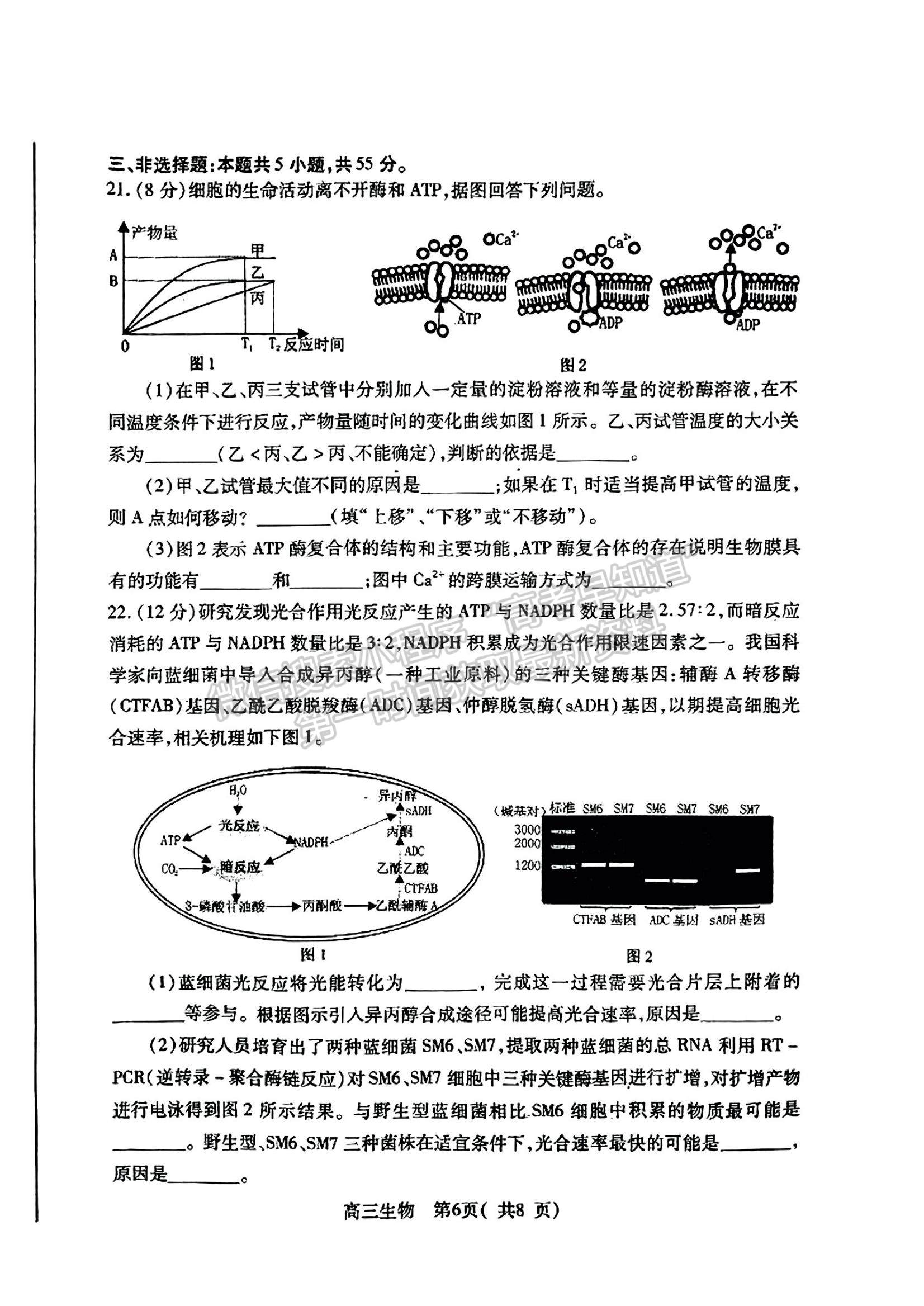 2023山東省煙臺市高三上學(xué)期期中考試生物試題及參考答案