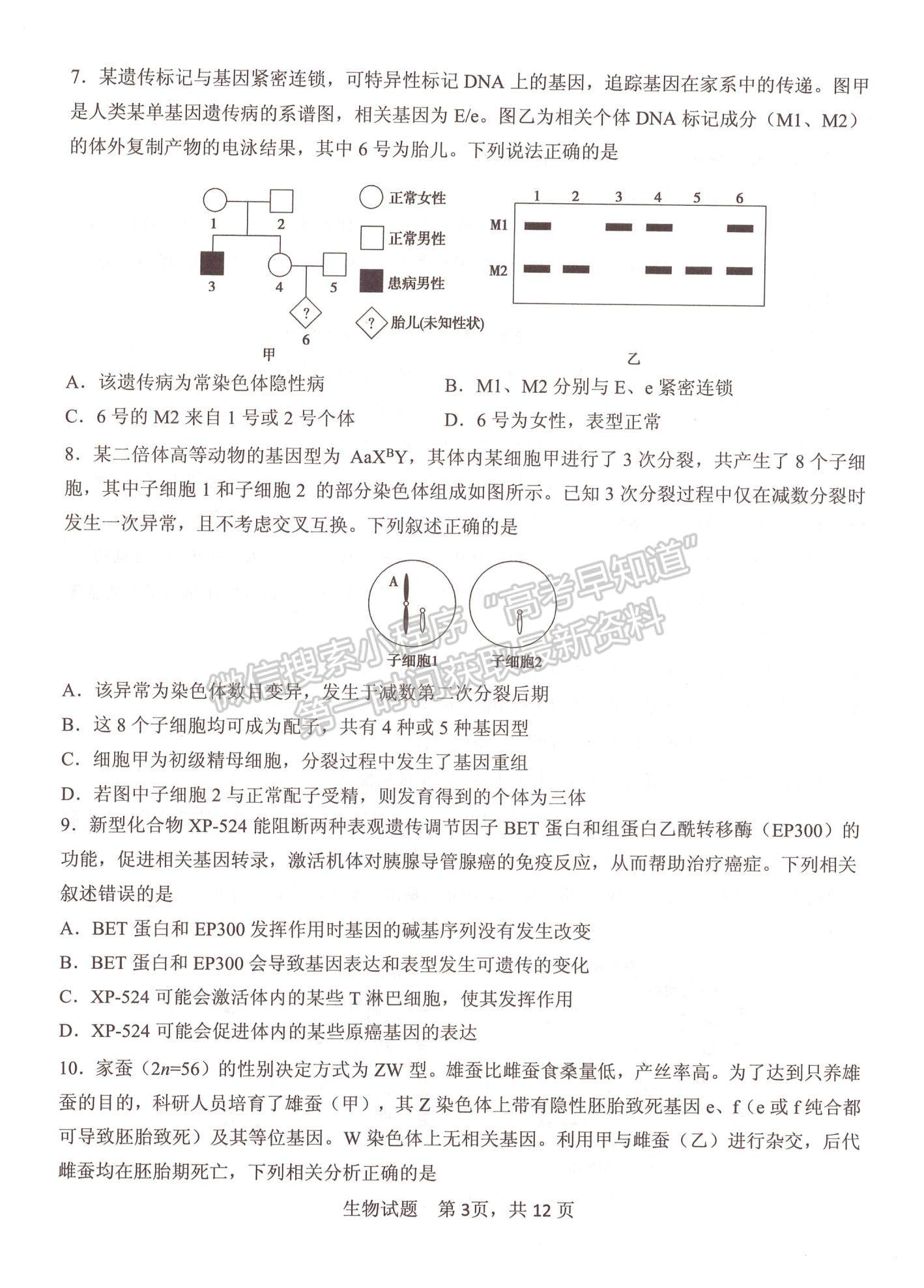 2023山東省實驗中學高三第二次診斷考試生物試題及參考答案